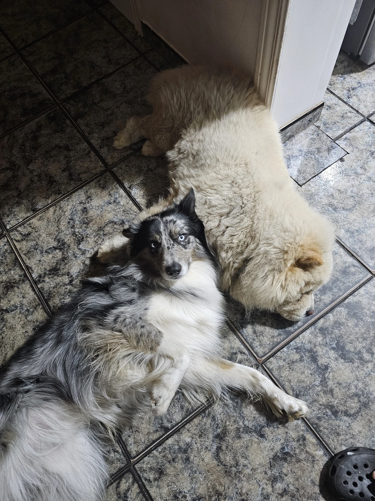 image-11