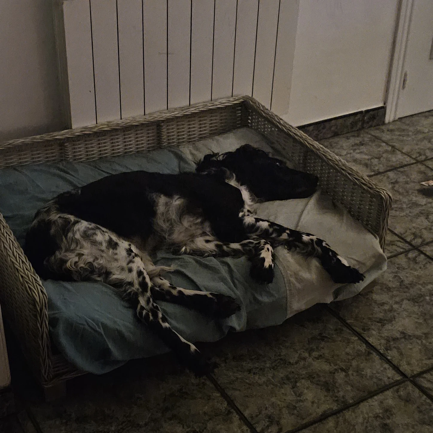 image-8