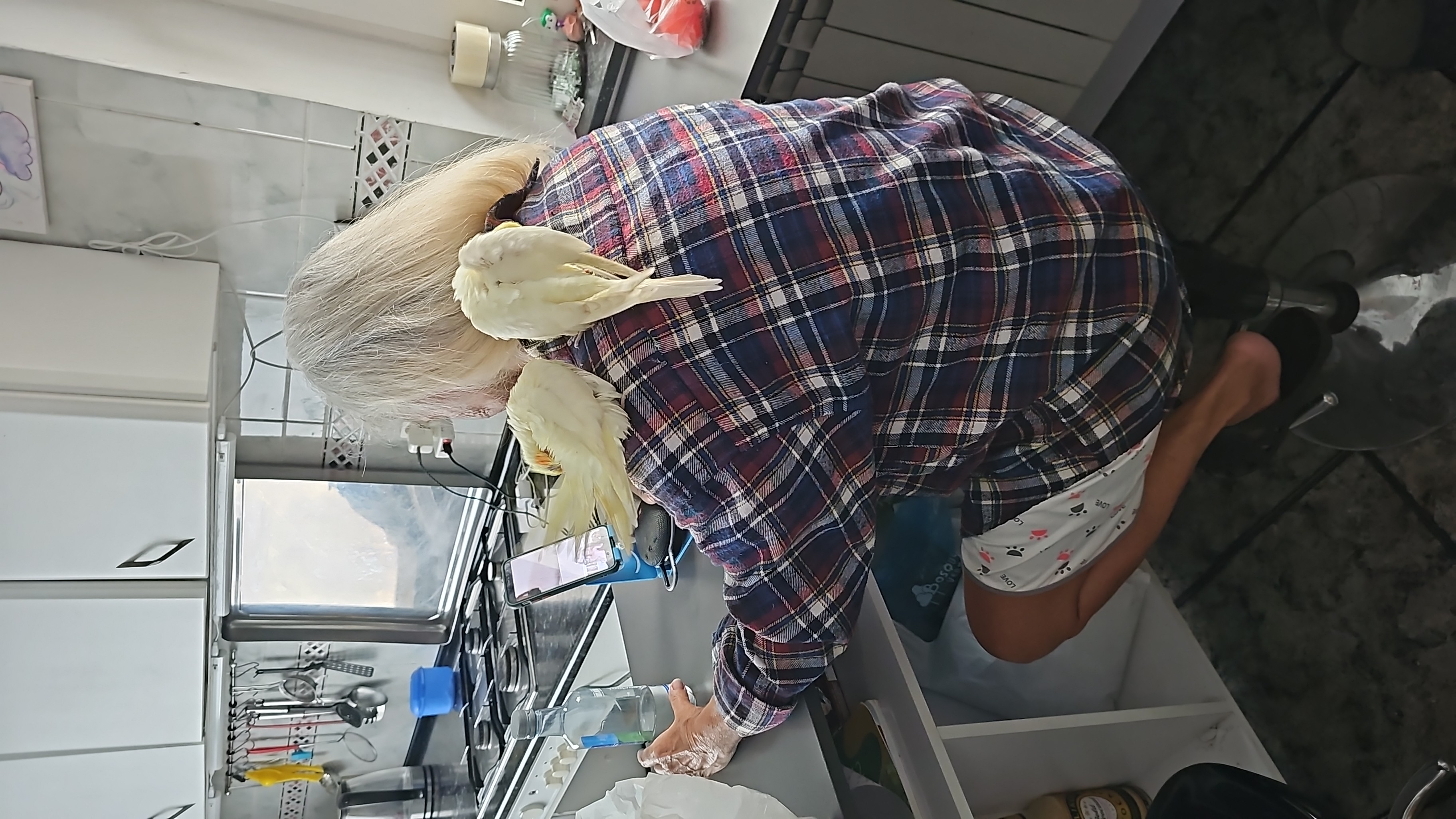 image-8
