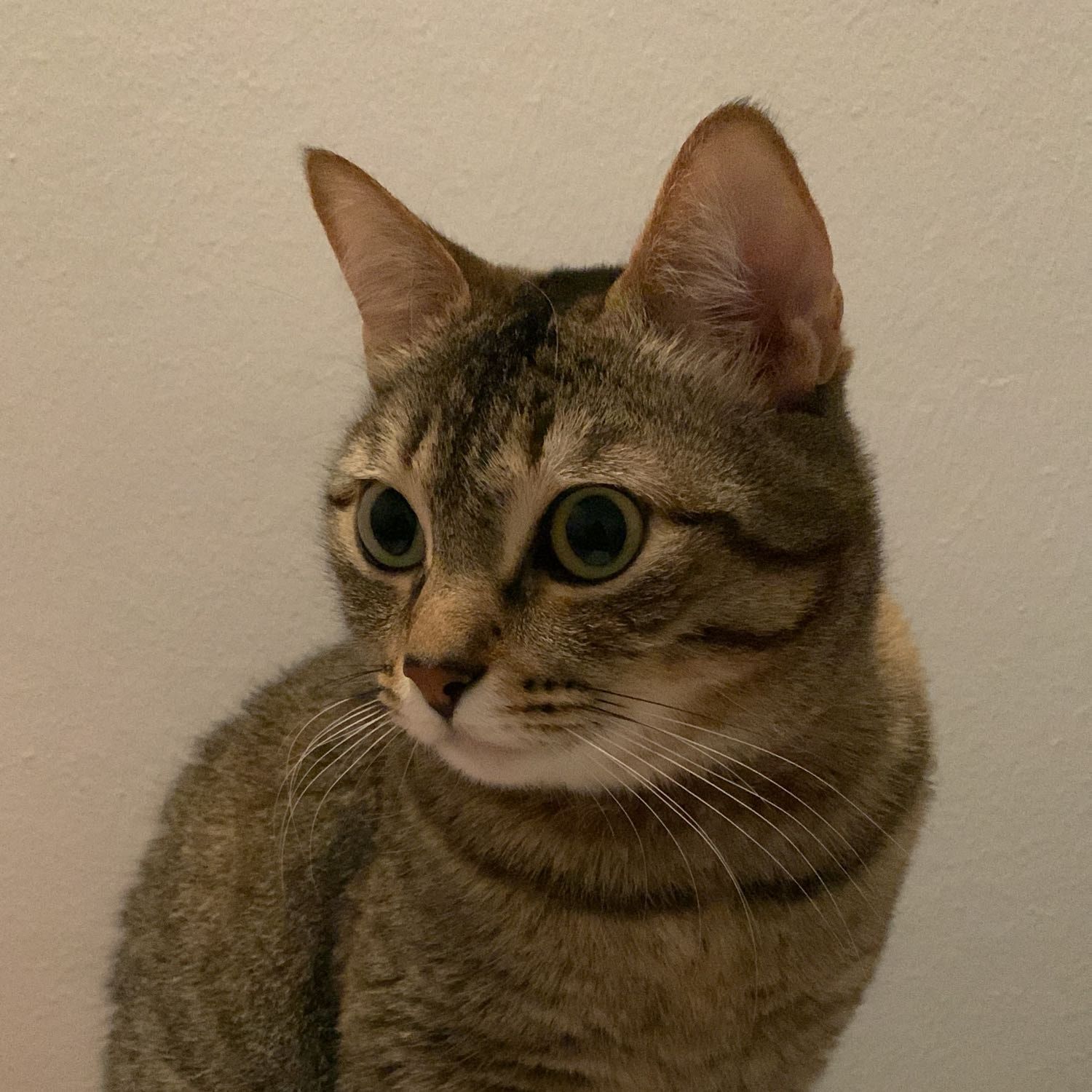 Zahra