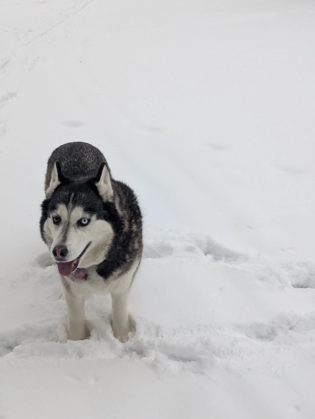 image-9