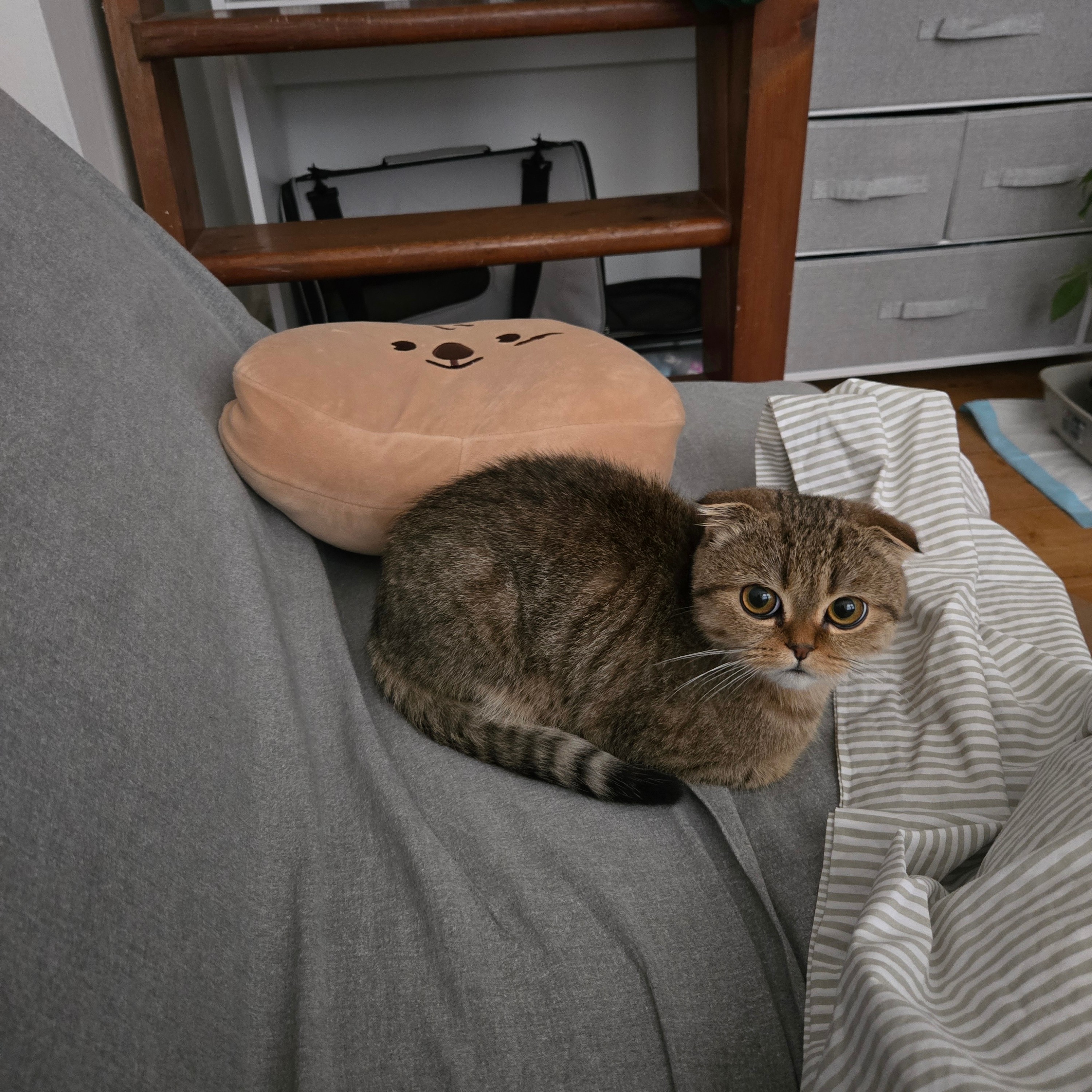 Eloise