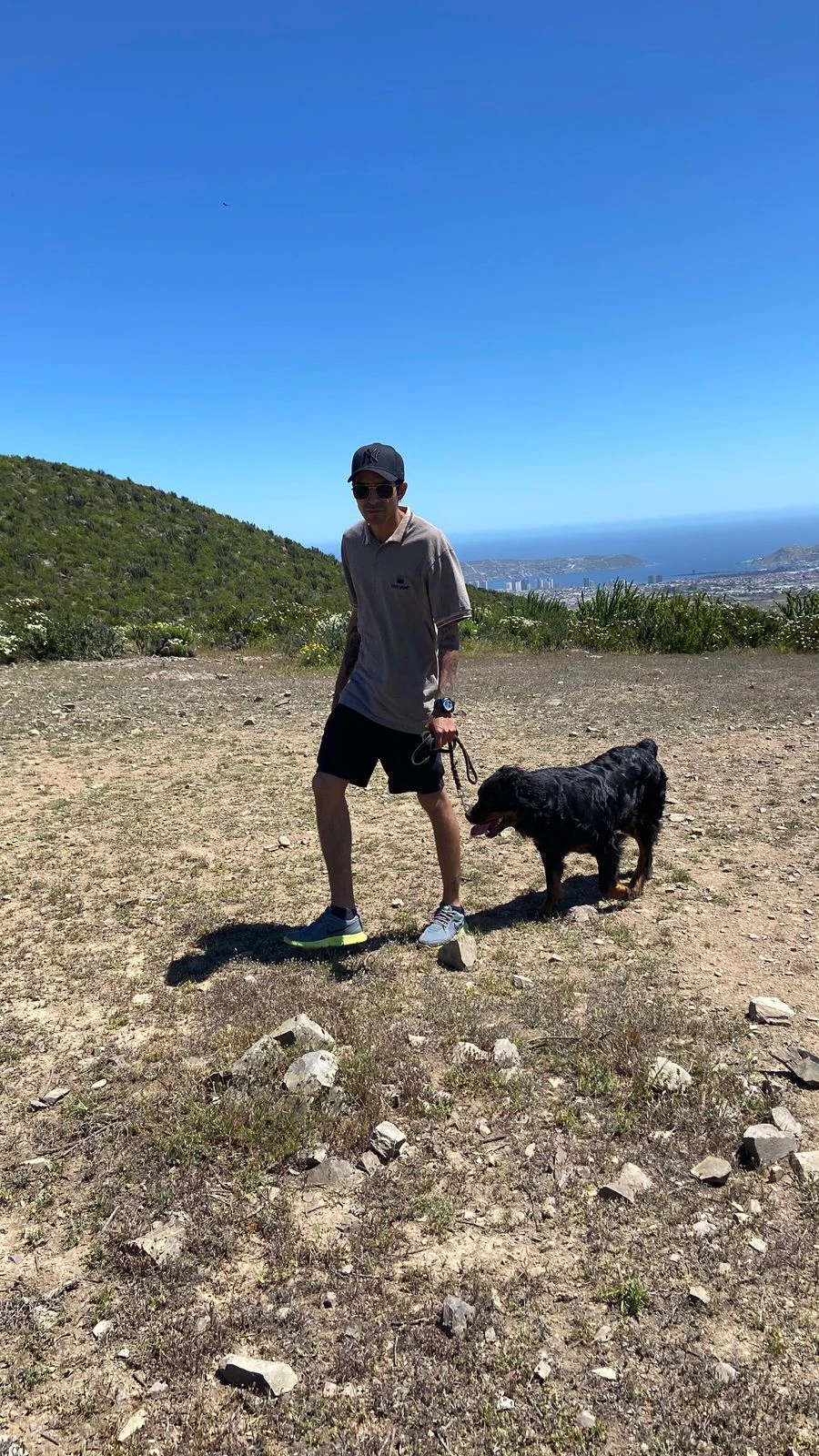 image-5