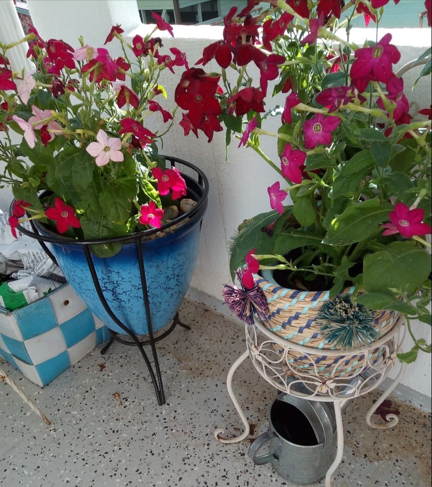 image-43