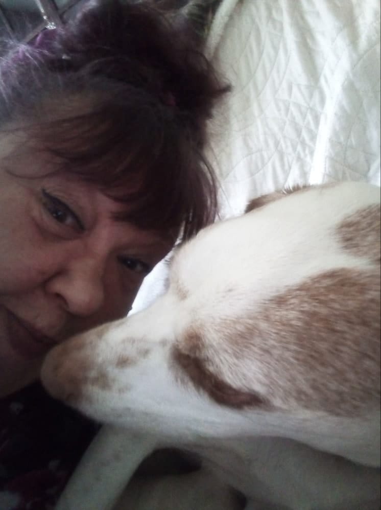 image-30