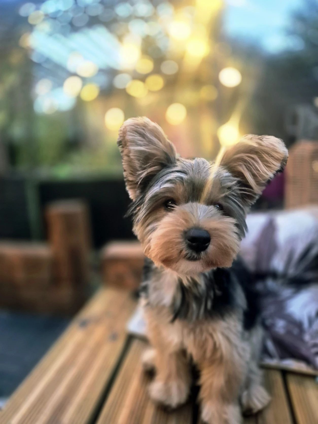 image-285