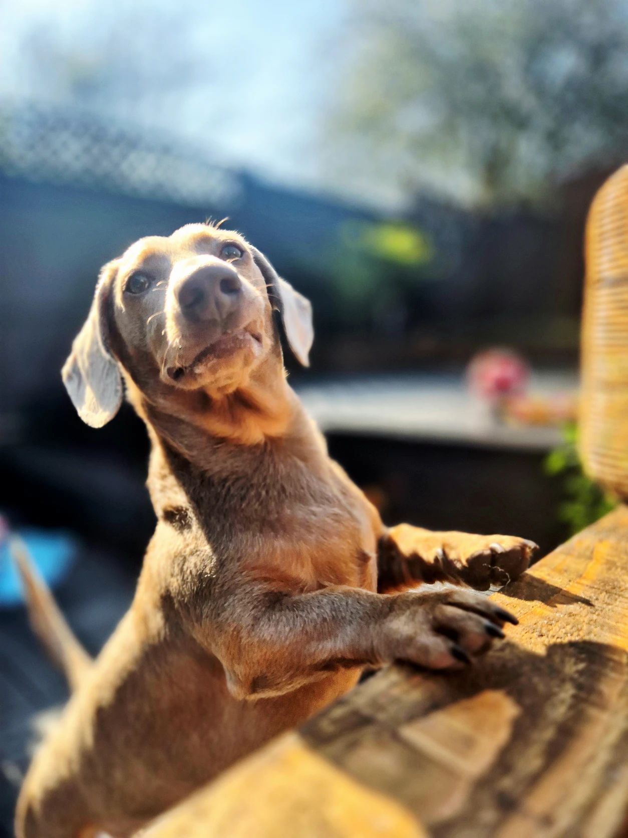 image-59