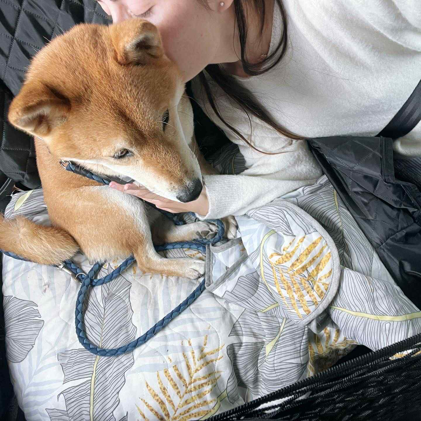 image-4