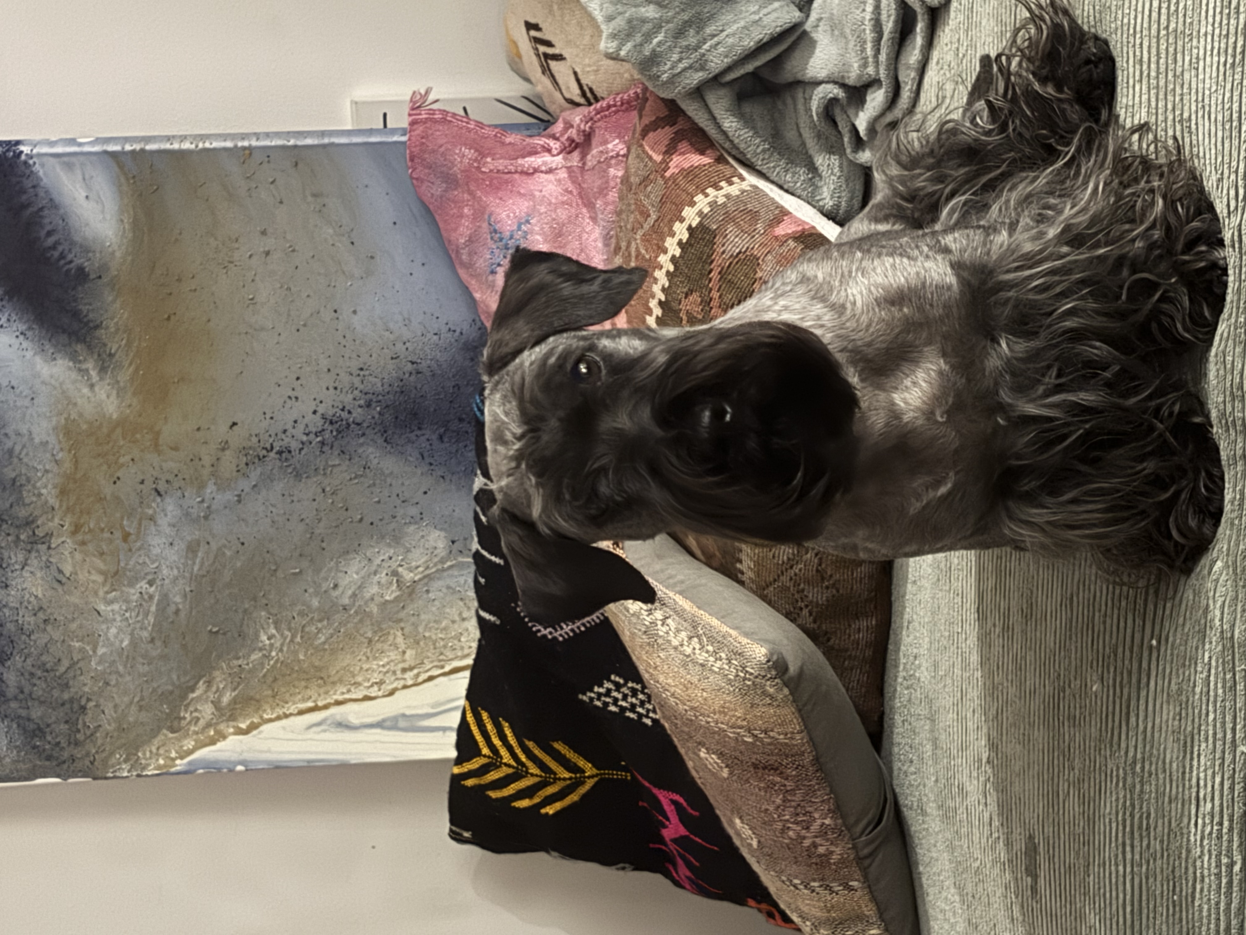 image-13