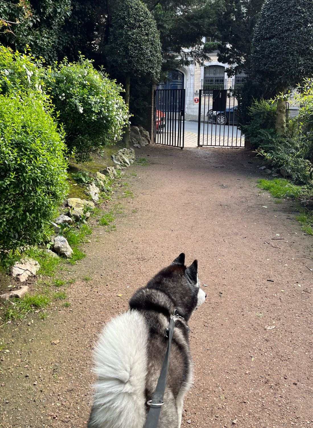 image-16