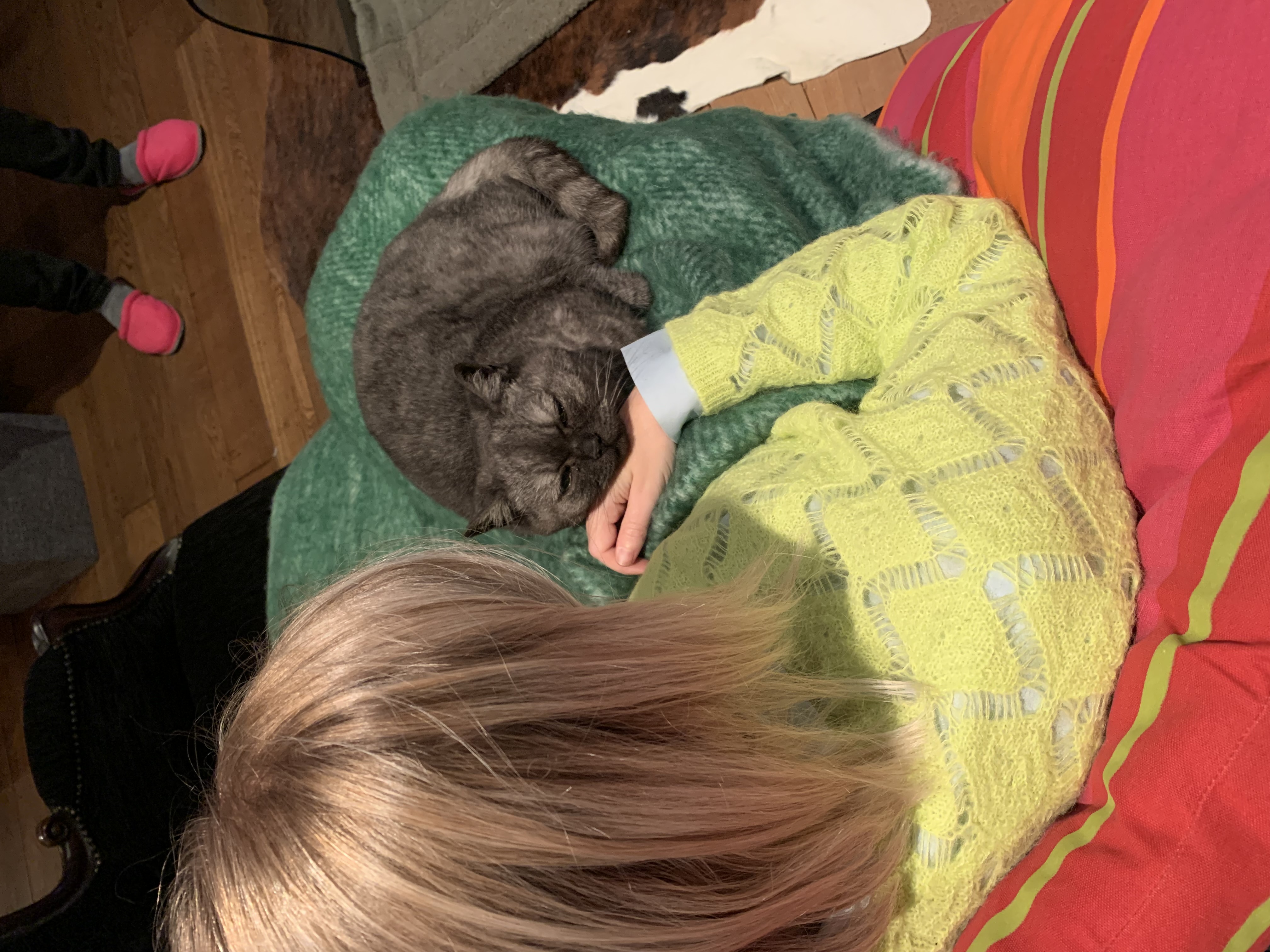 image-6