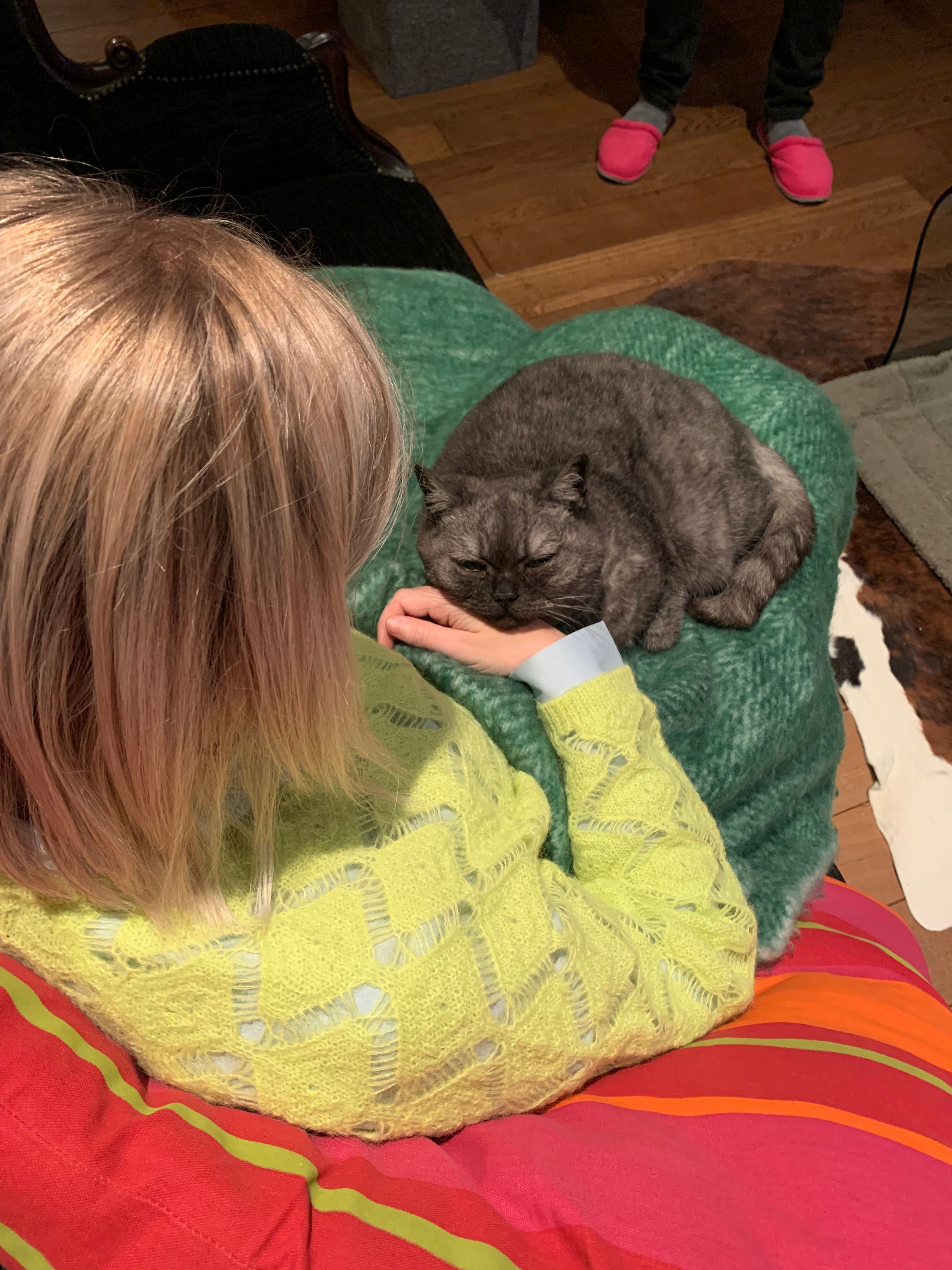 image-6