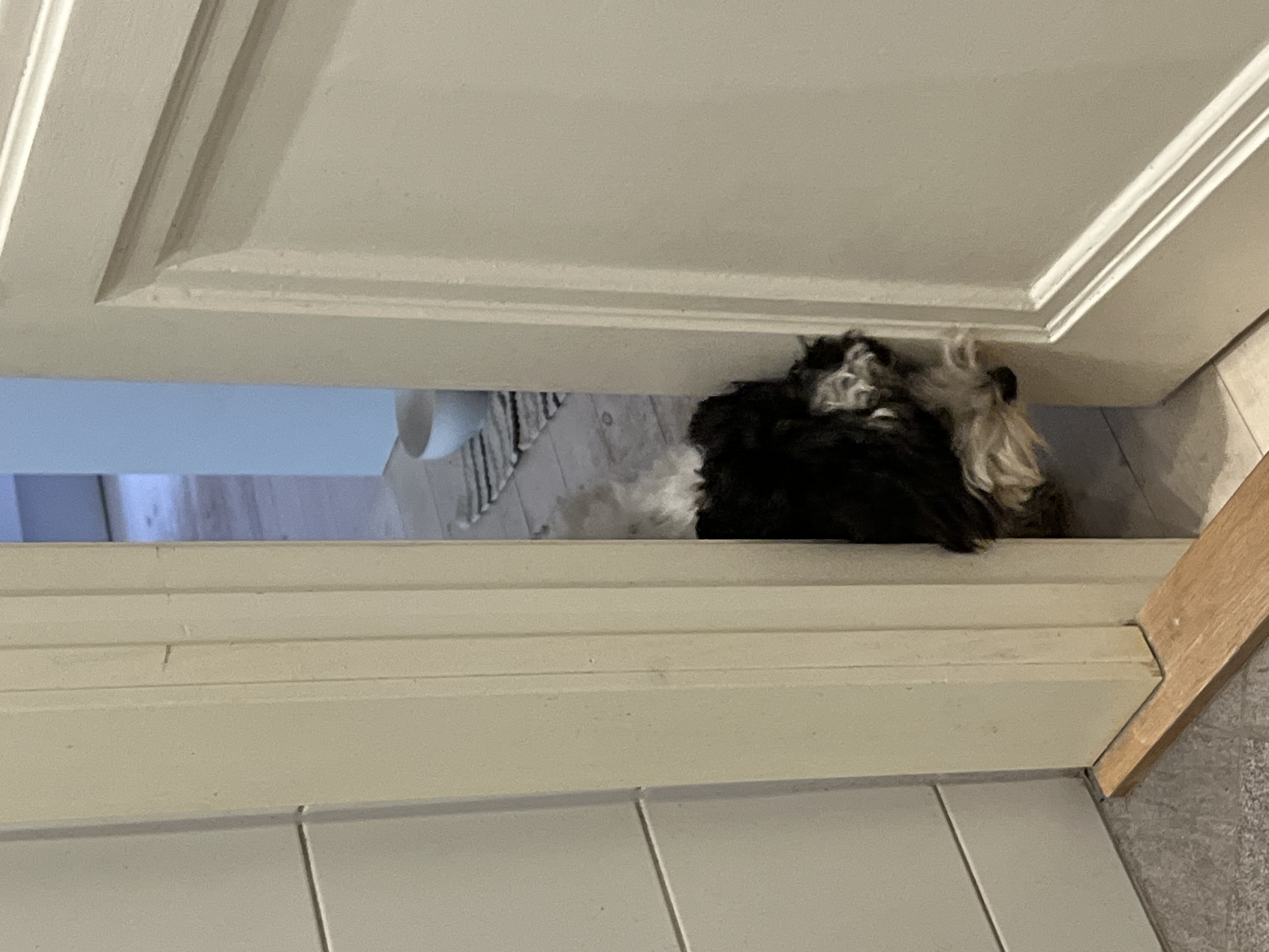image-11
