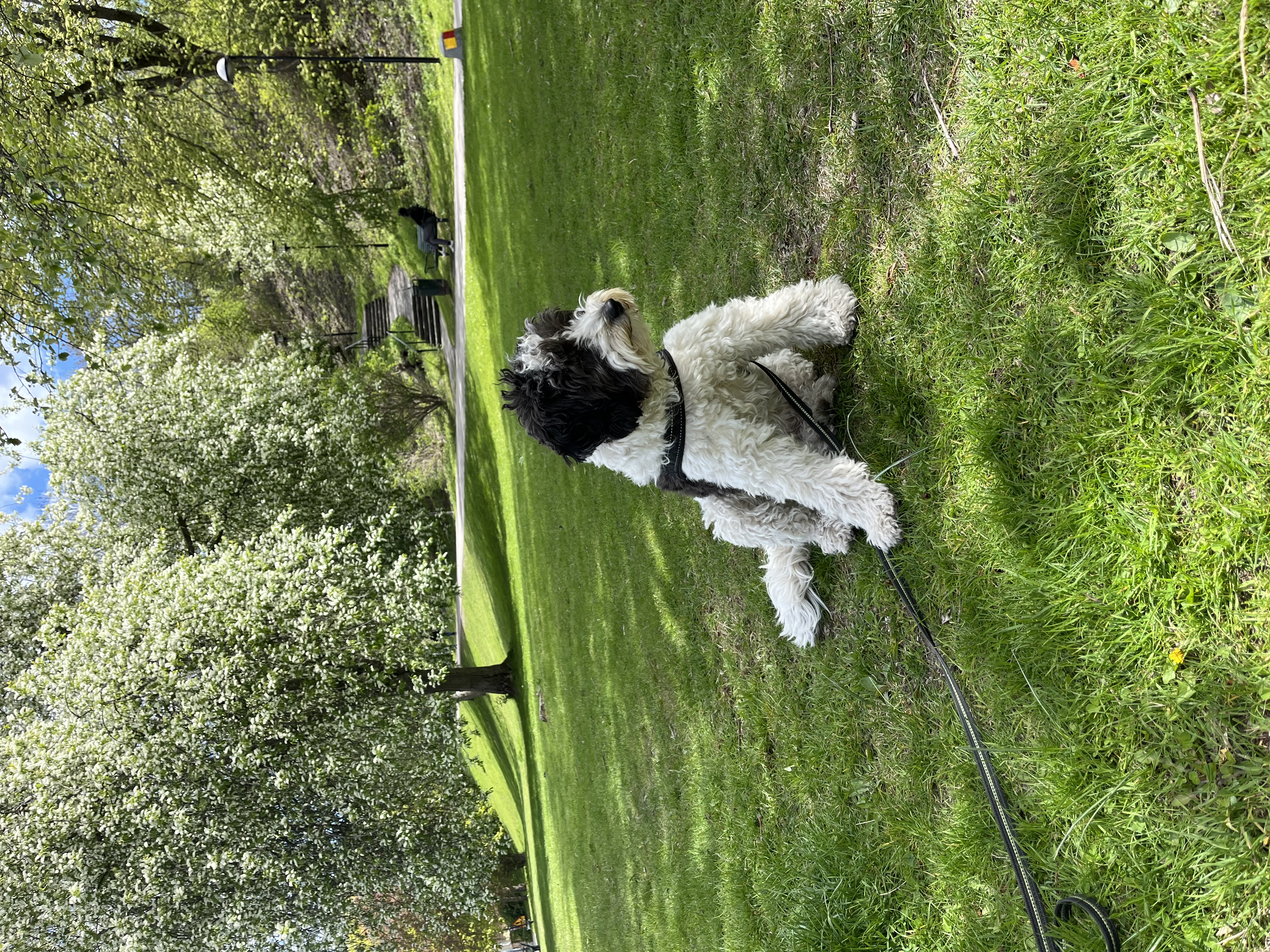image-14