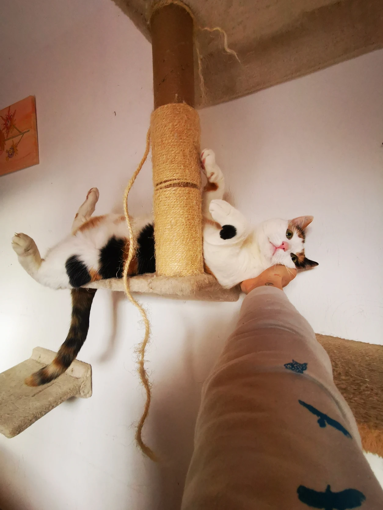 image-8
