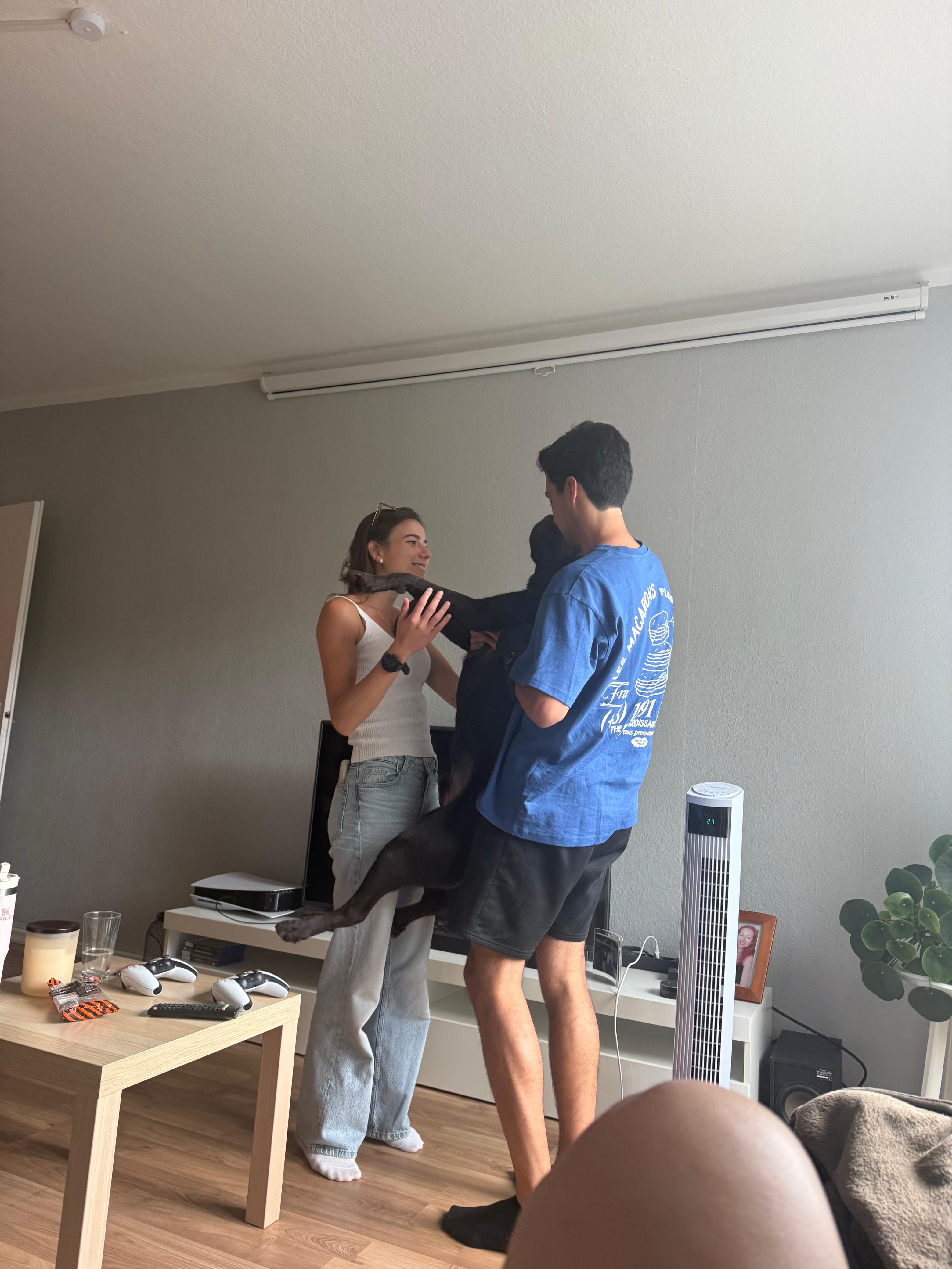 image-4