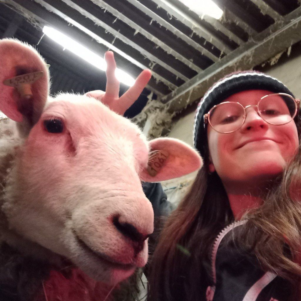 image-3