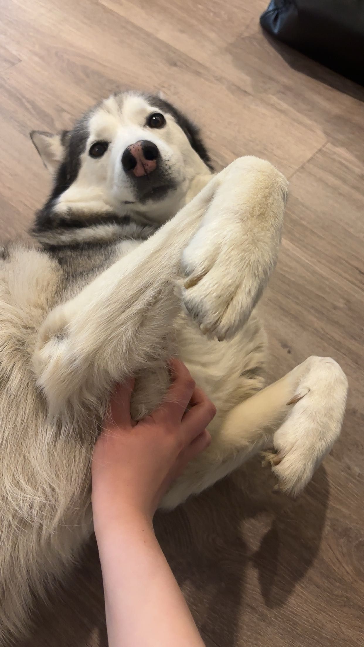 image-6