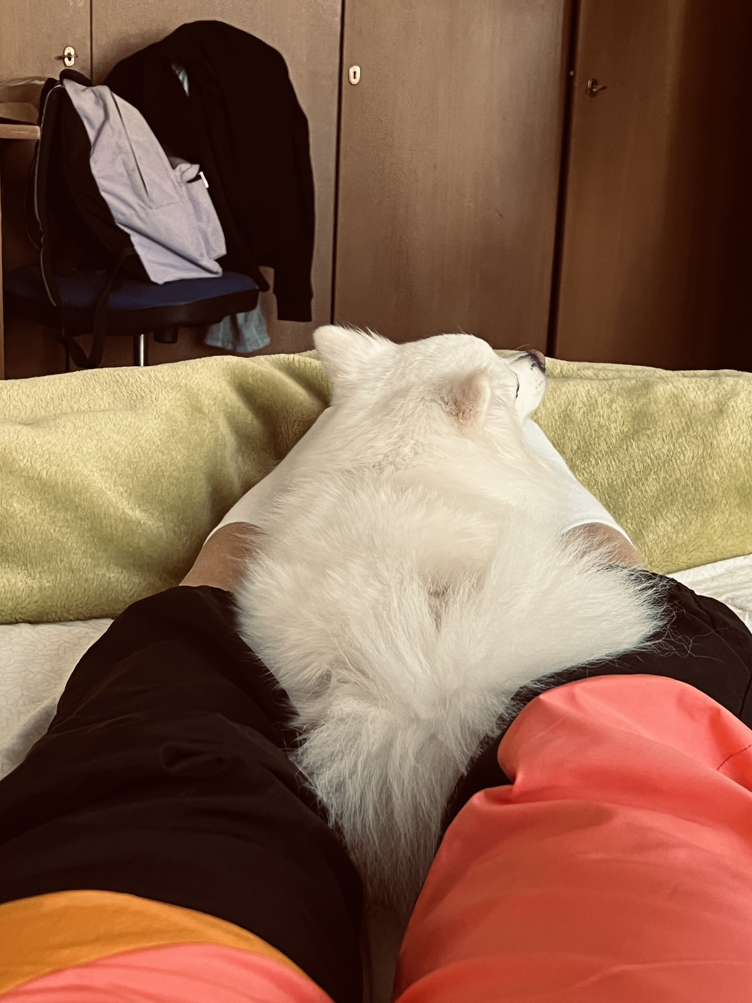 image-7
