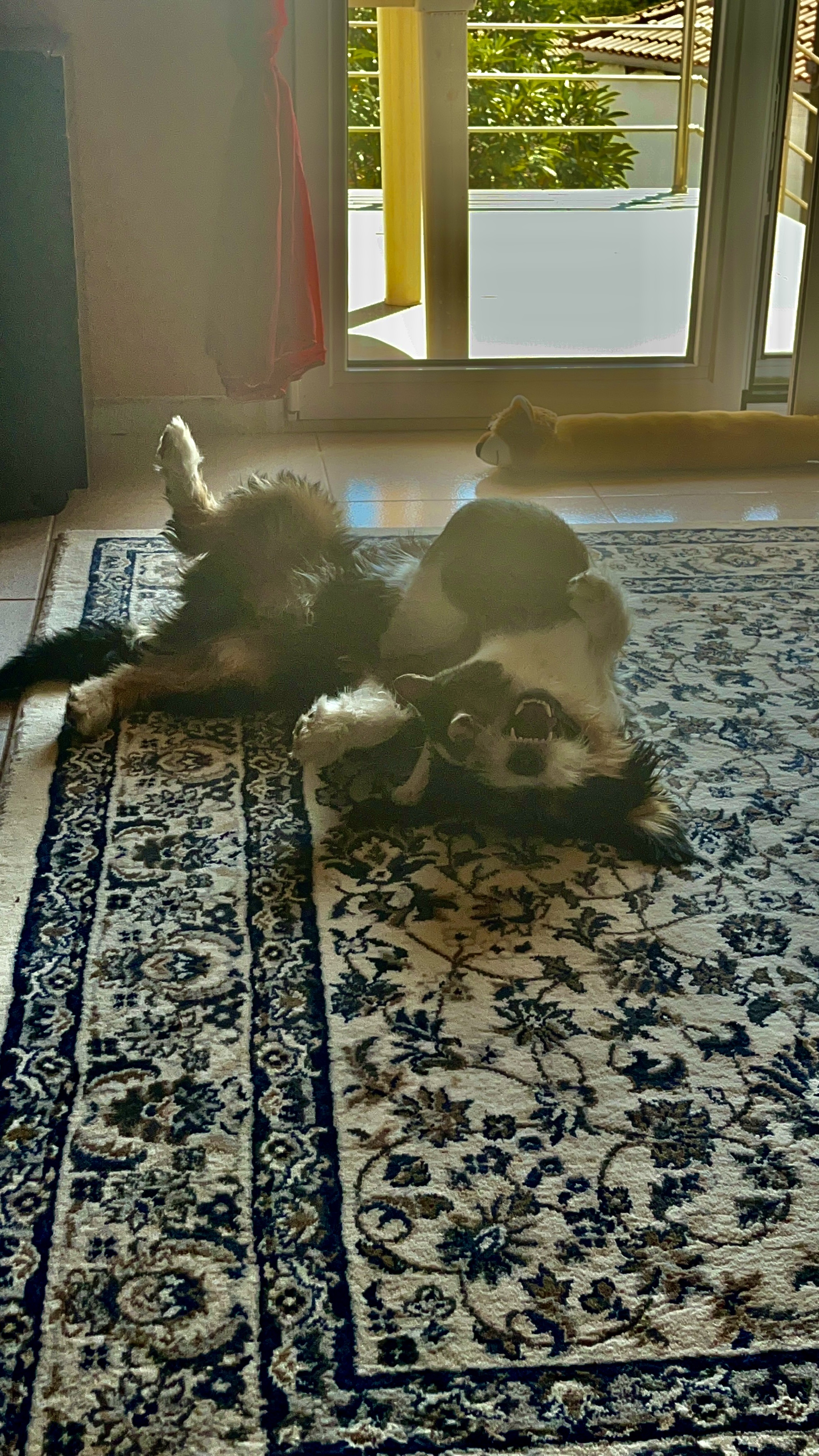 image-11
