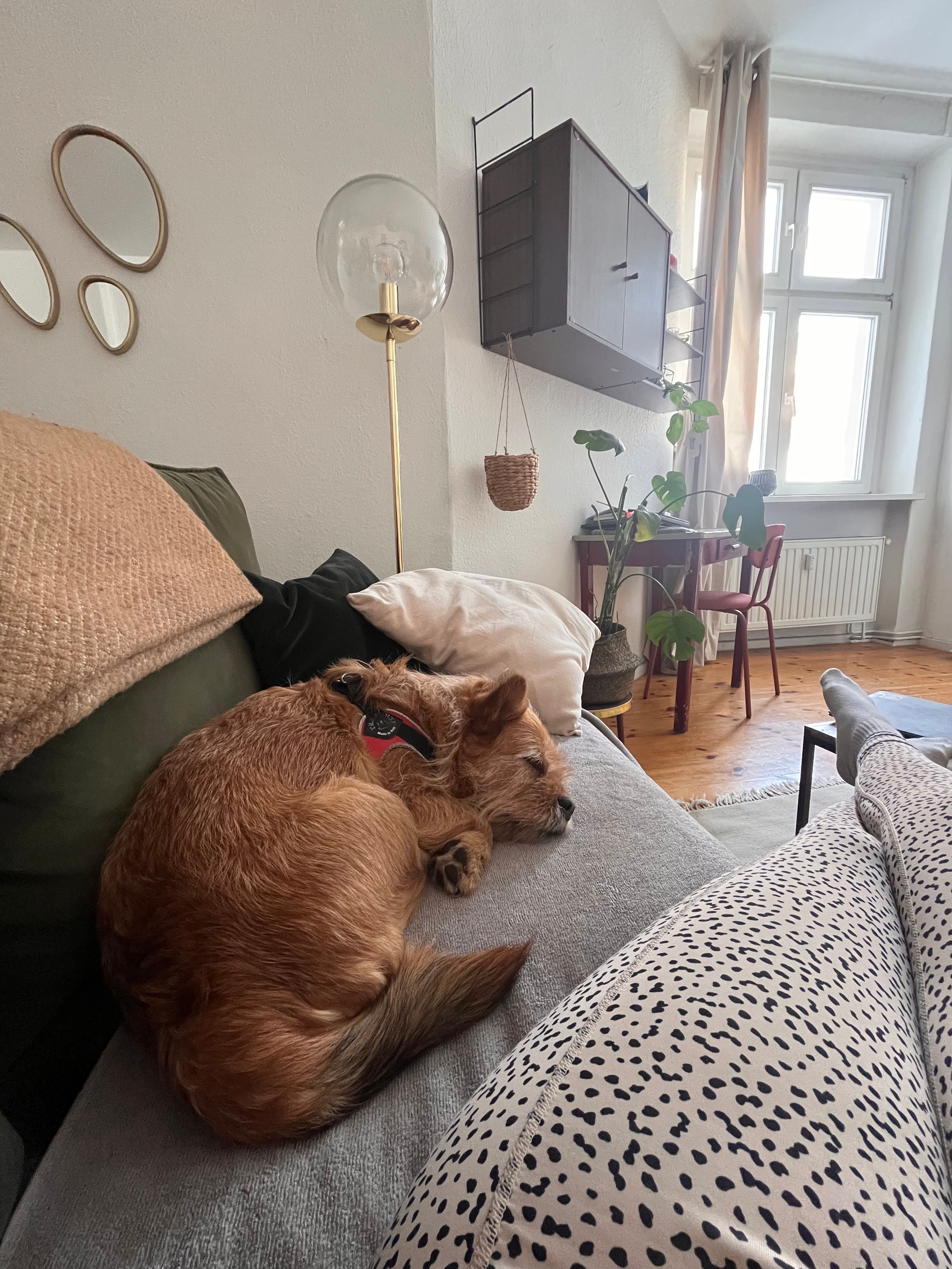 image-11