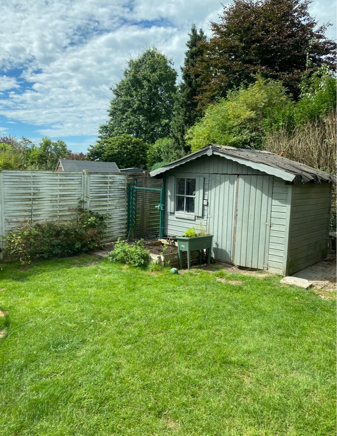 image-18