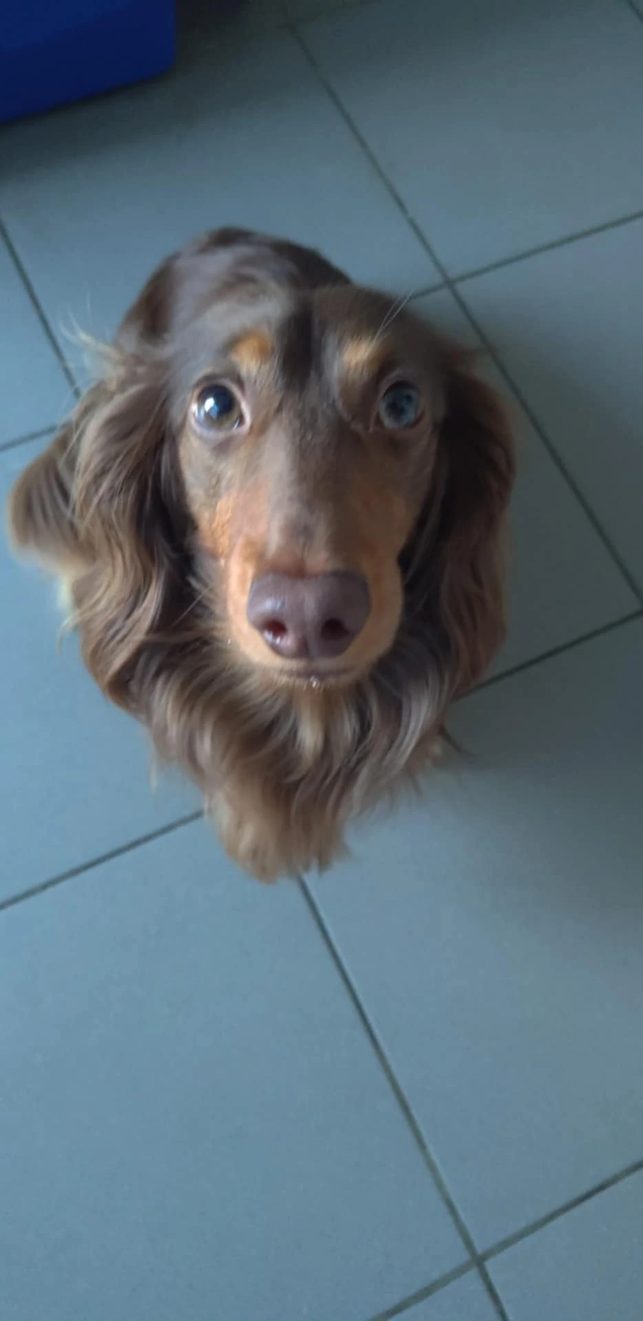 image-16