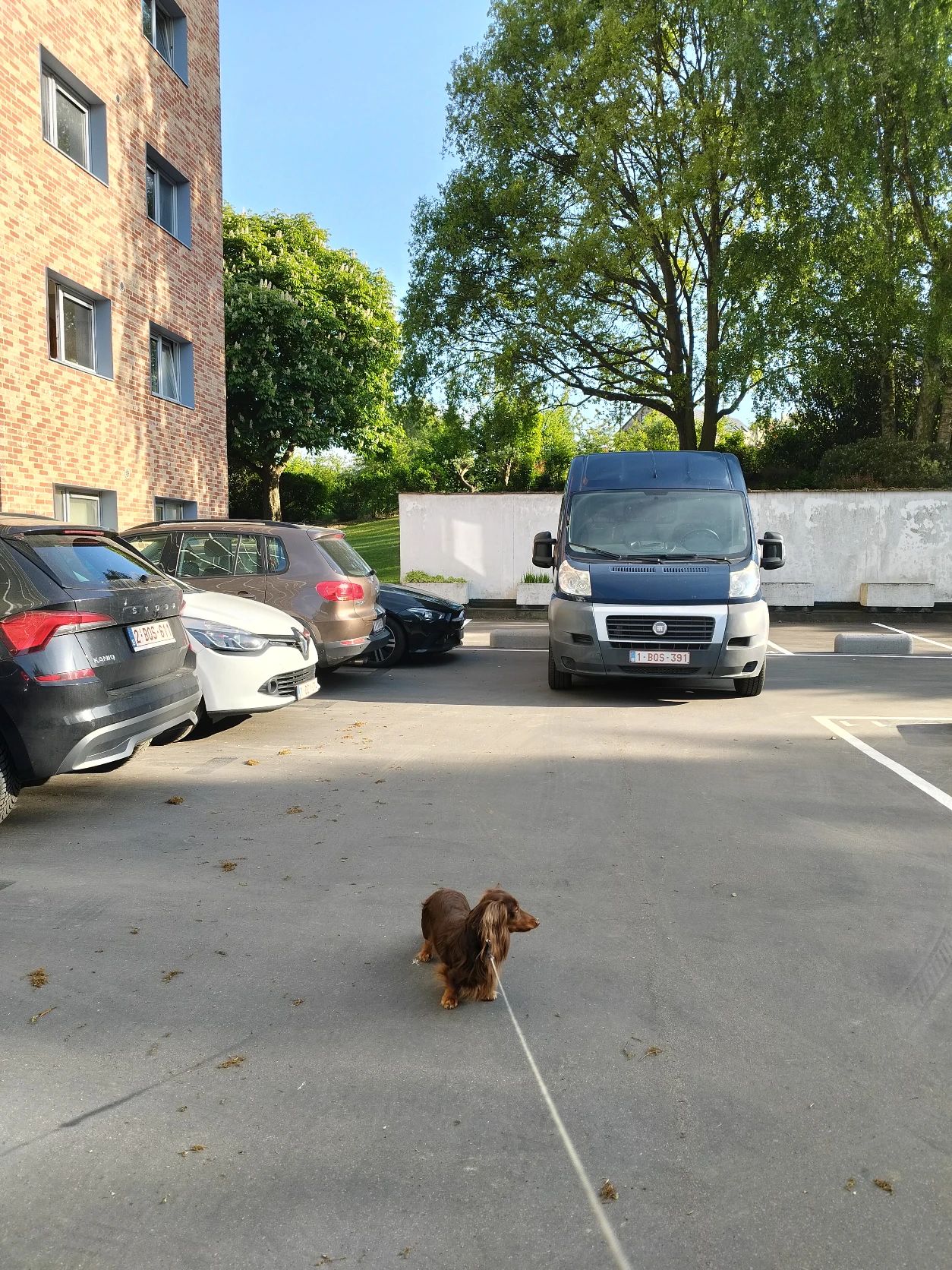 image-11