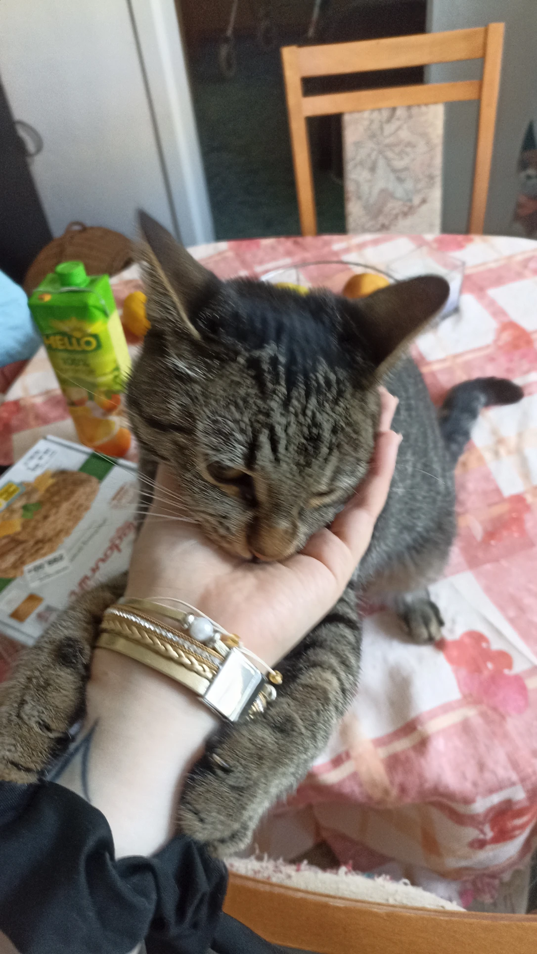 image-7