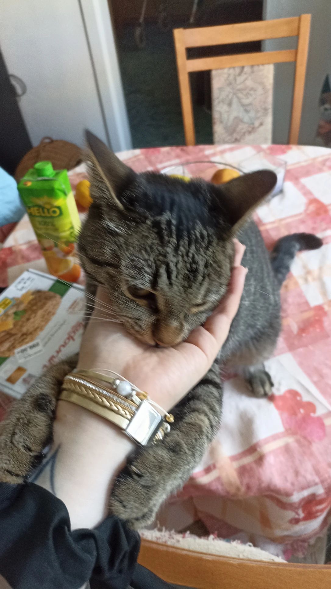 image-7