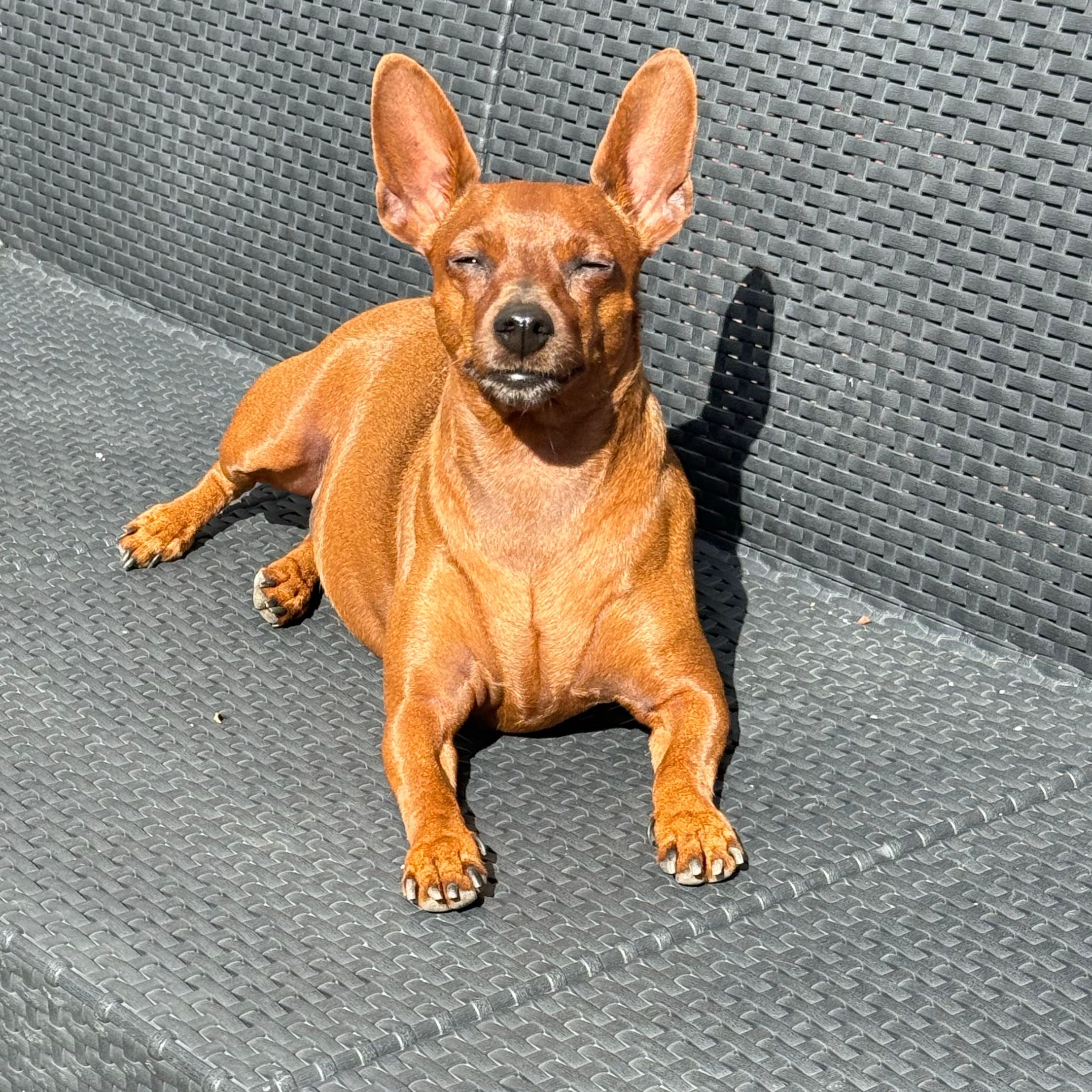 Lilo