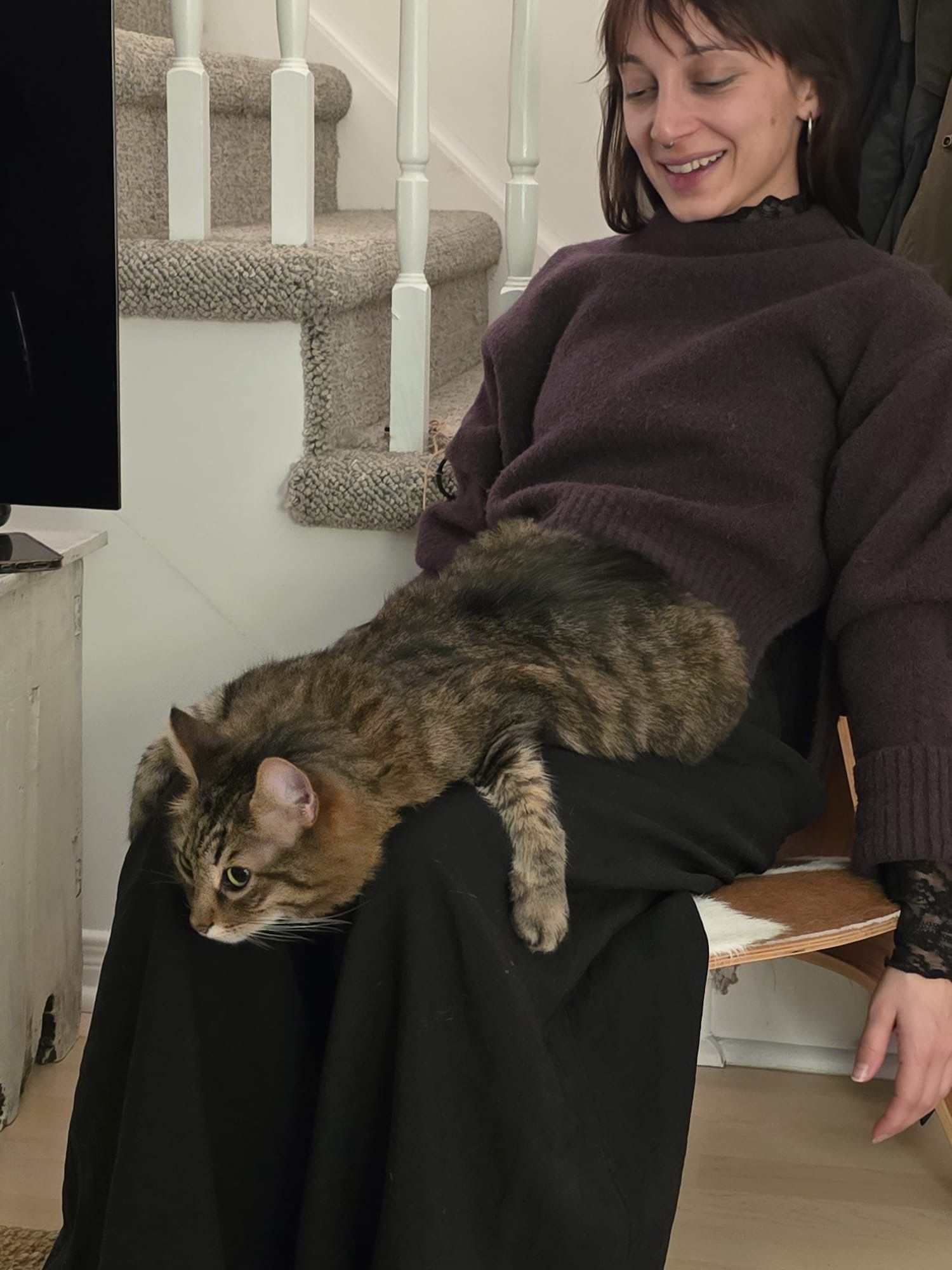 image-14