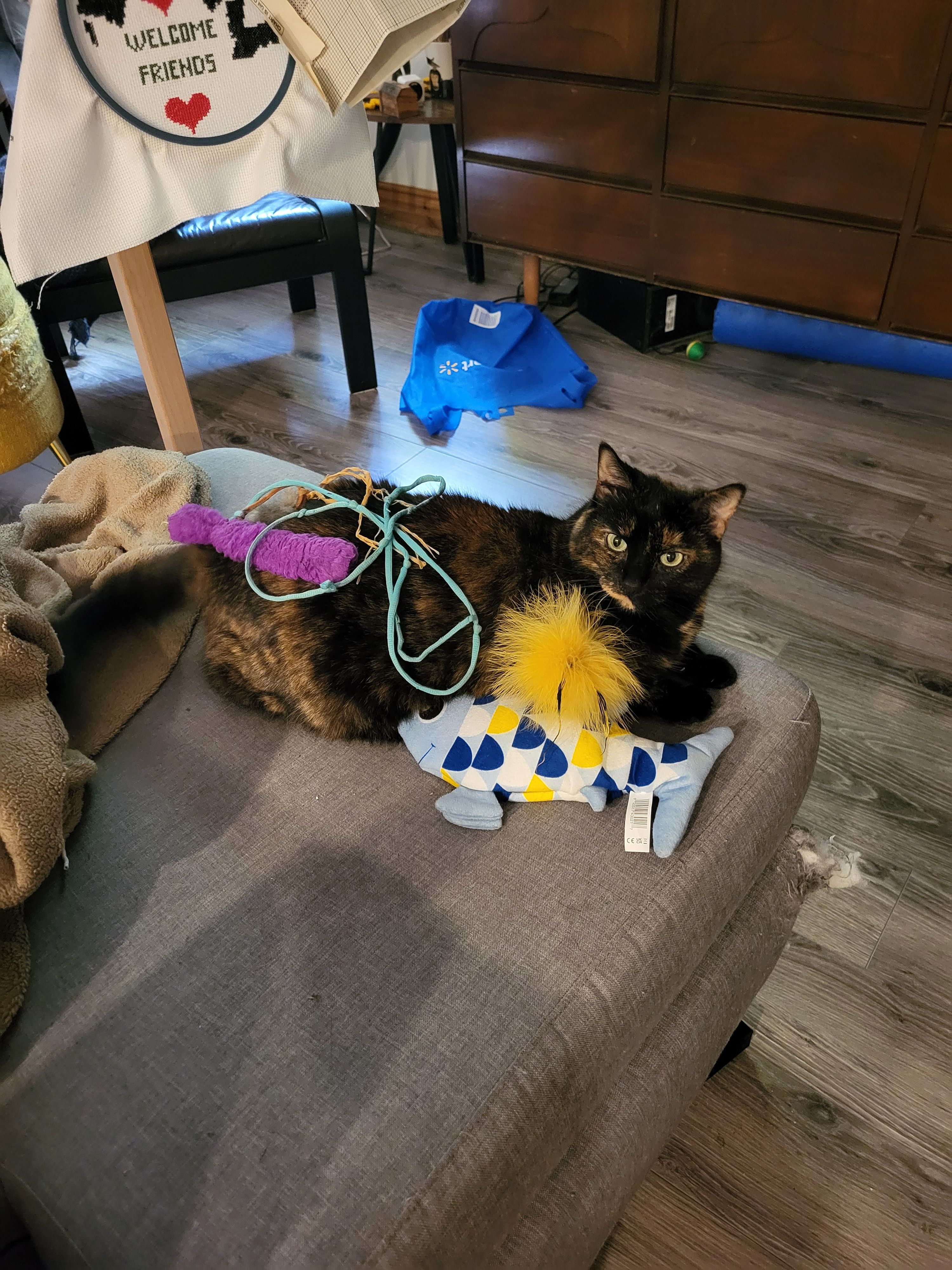 image-12