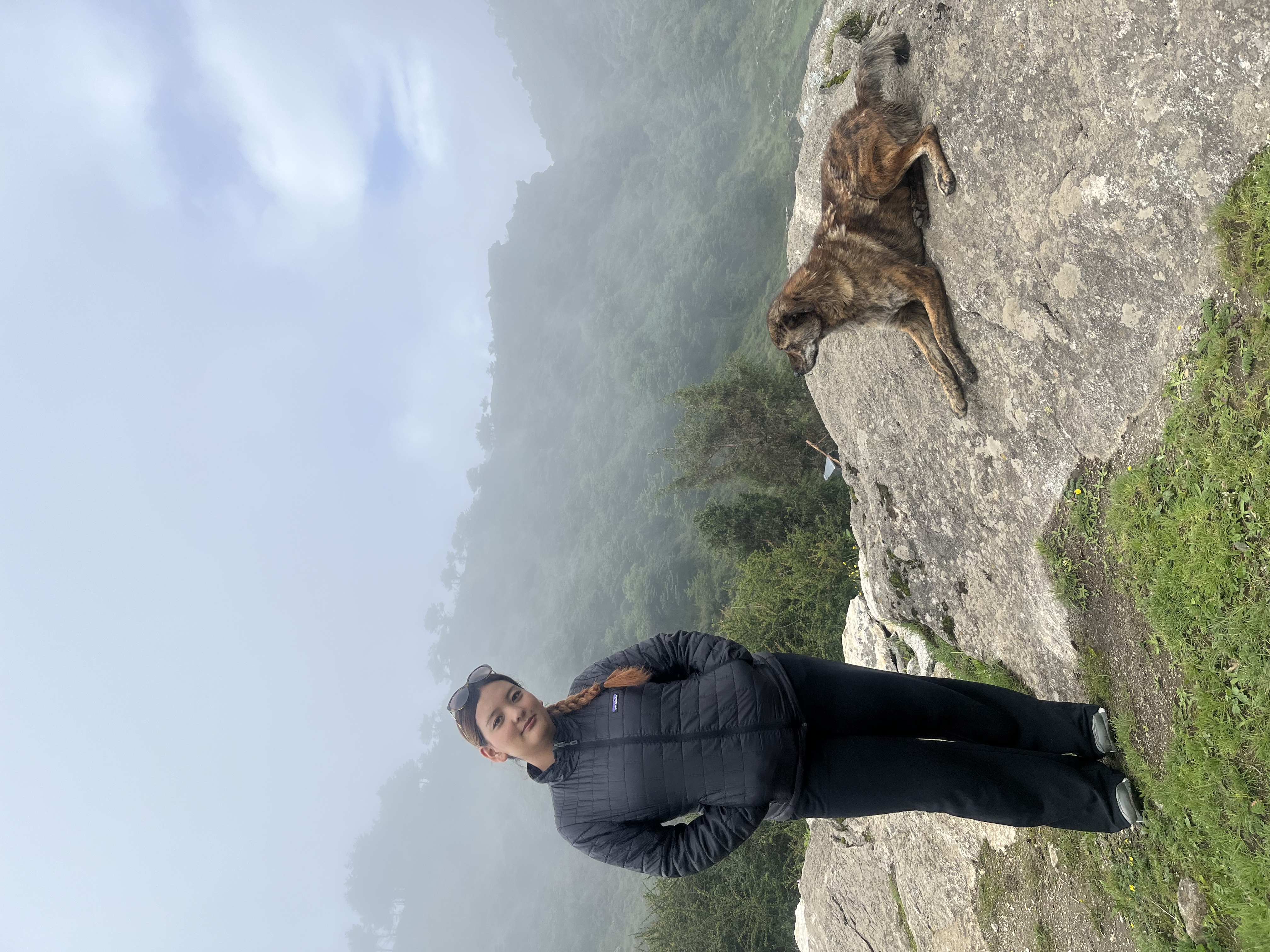 image-5