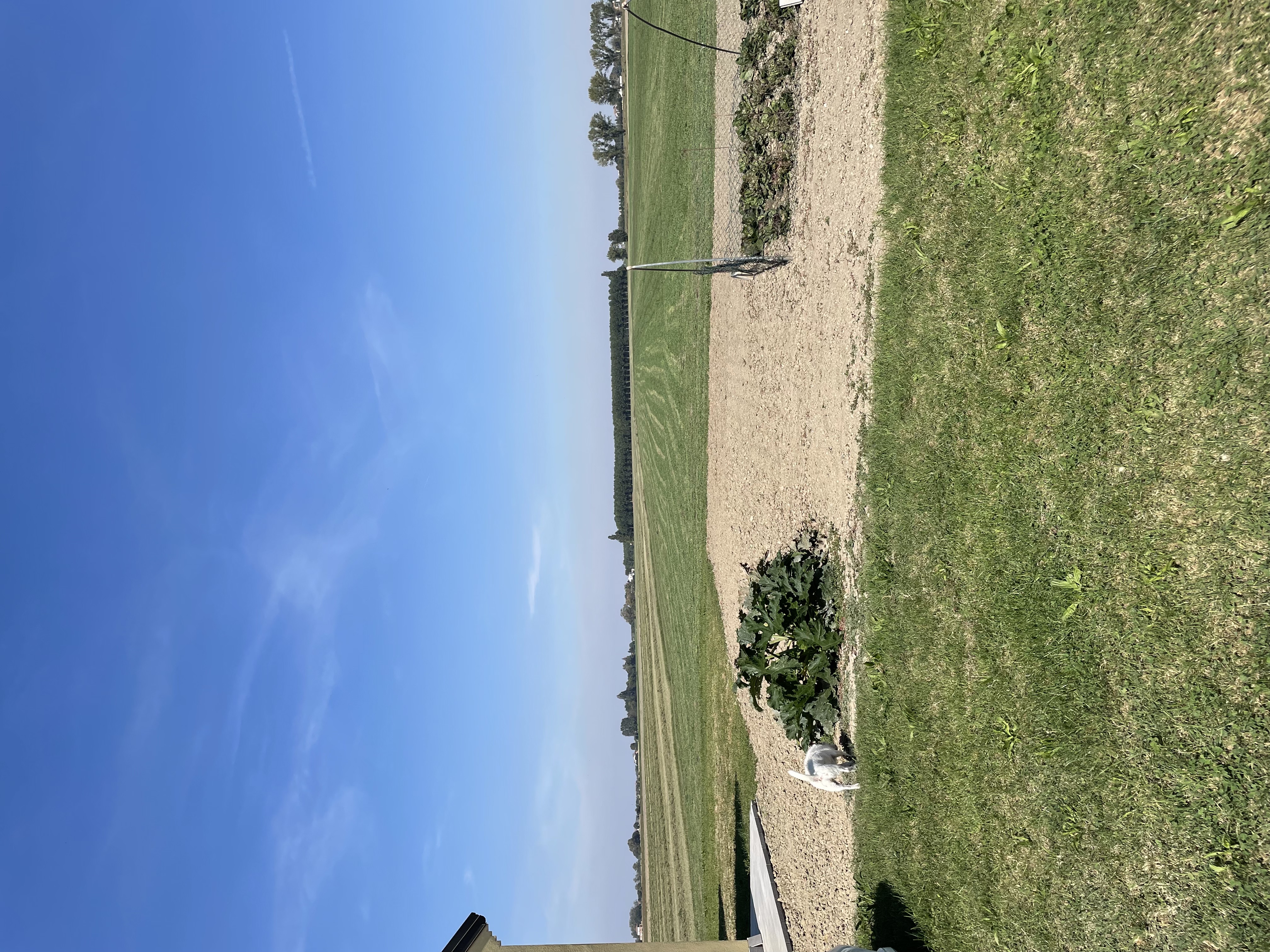image-32