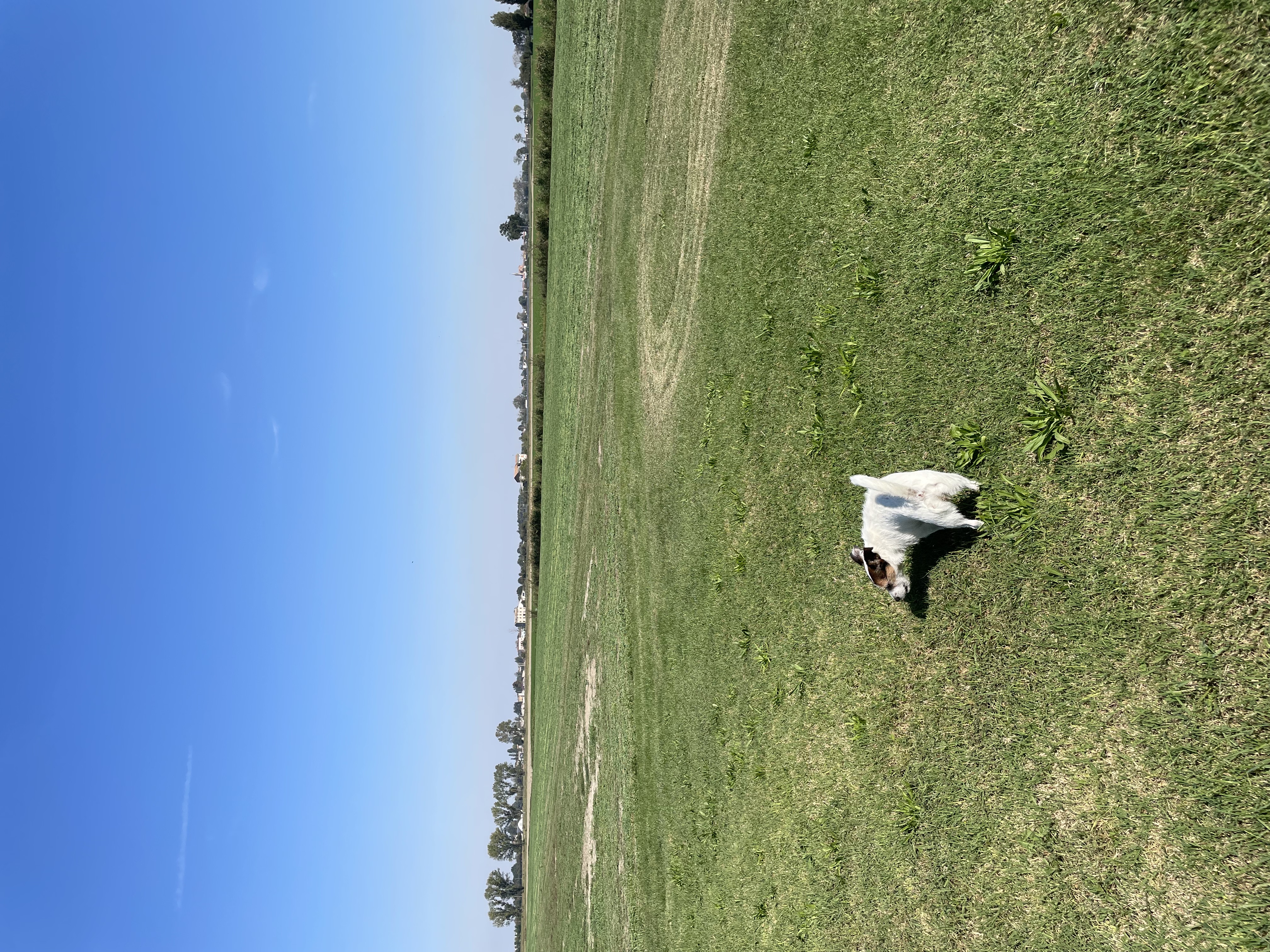image-34