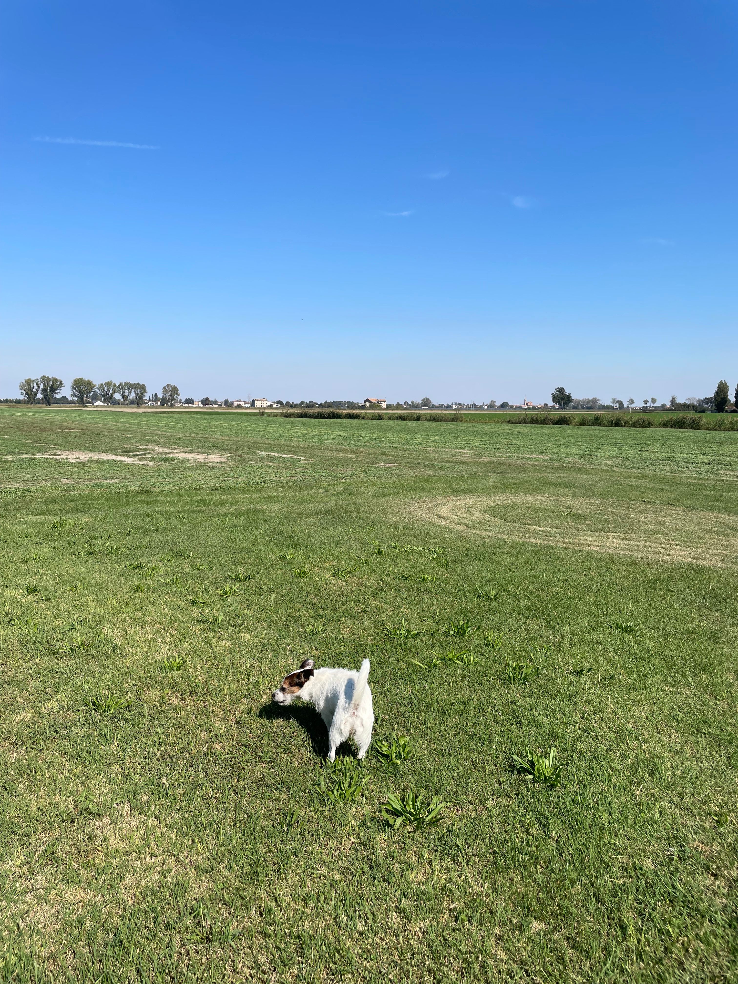 image-34