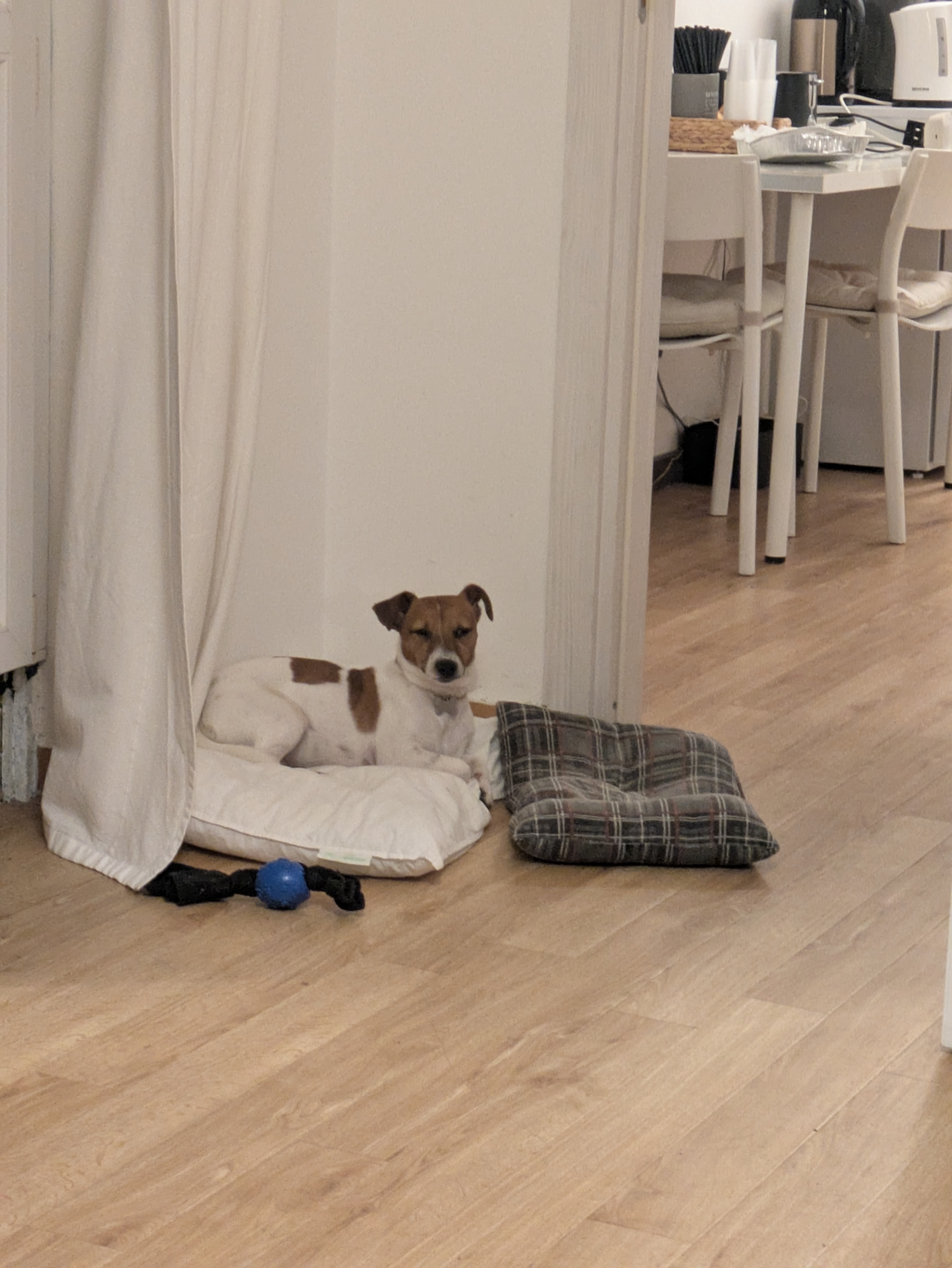 image-8