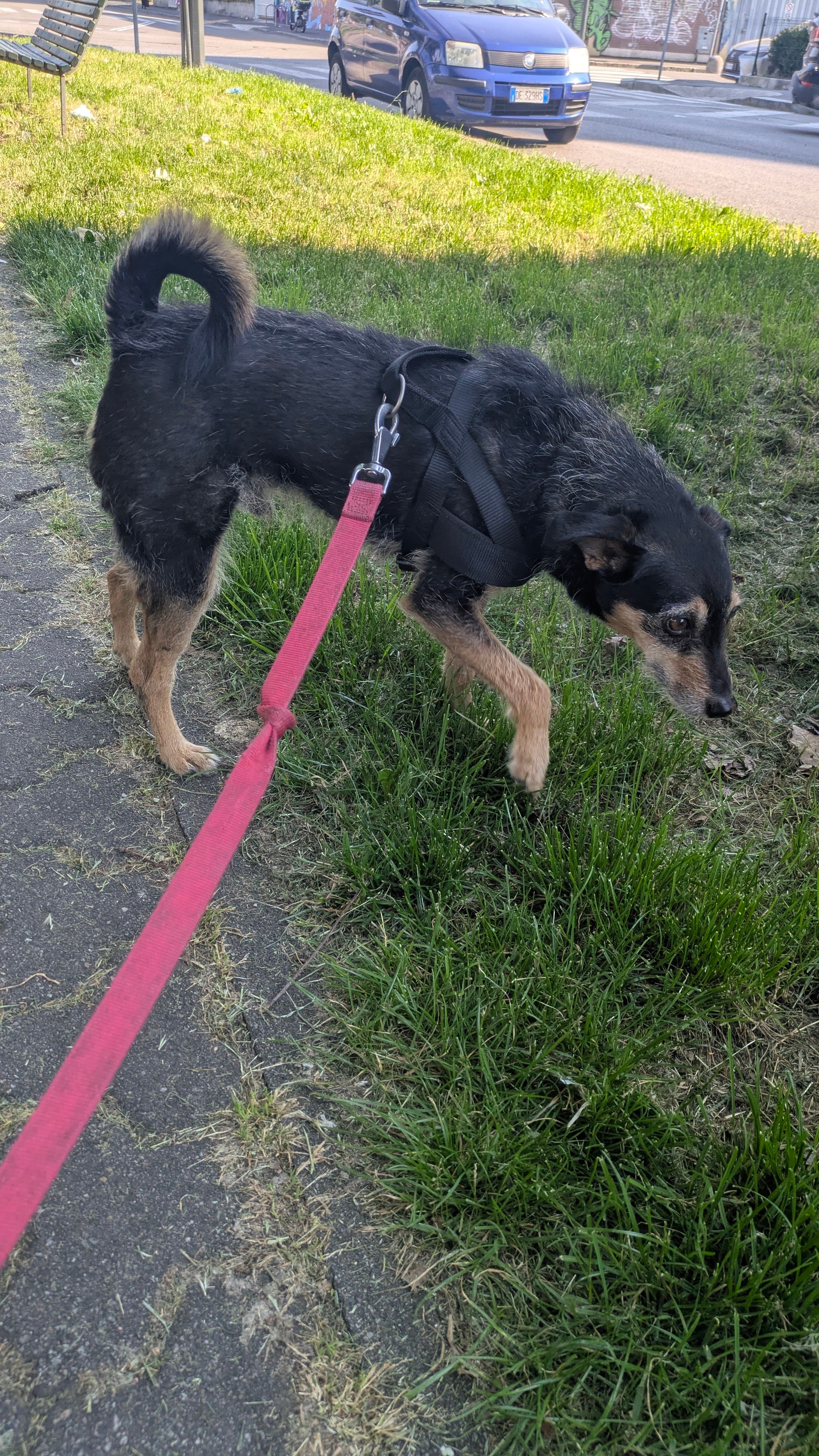 image-13