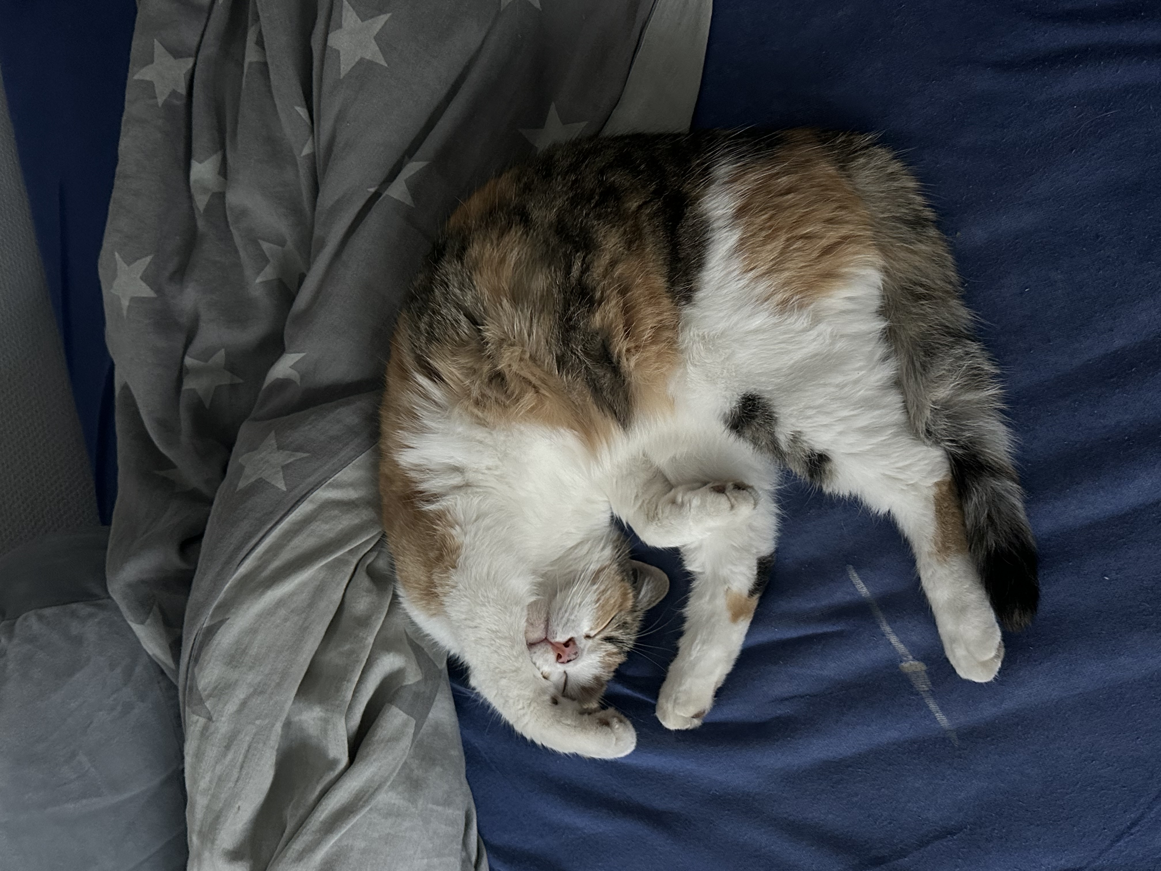 image-9