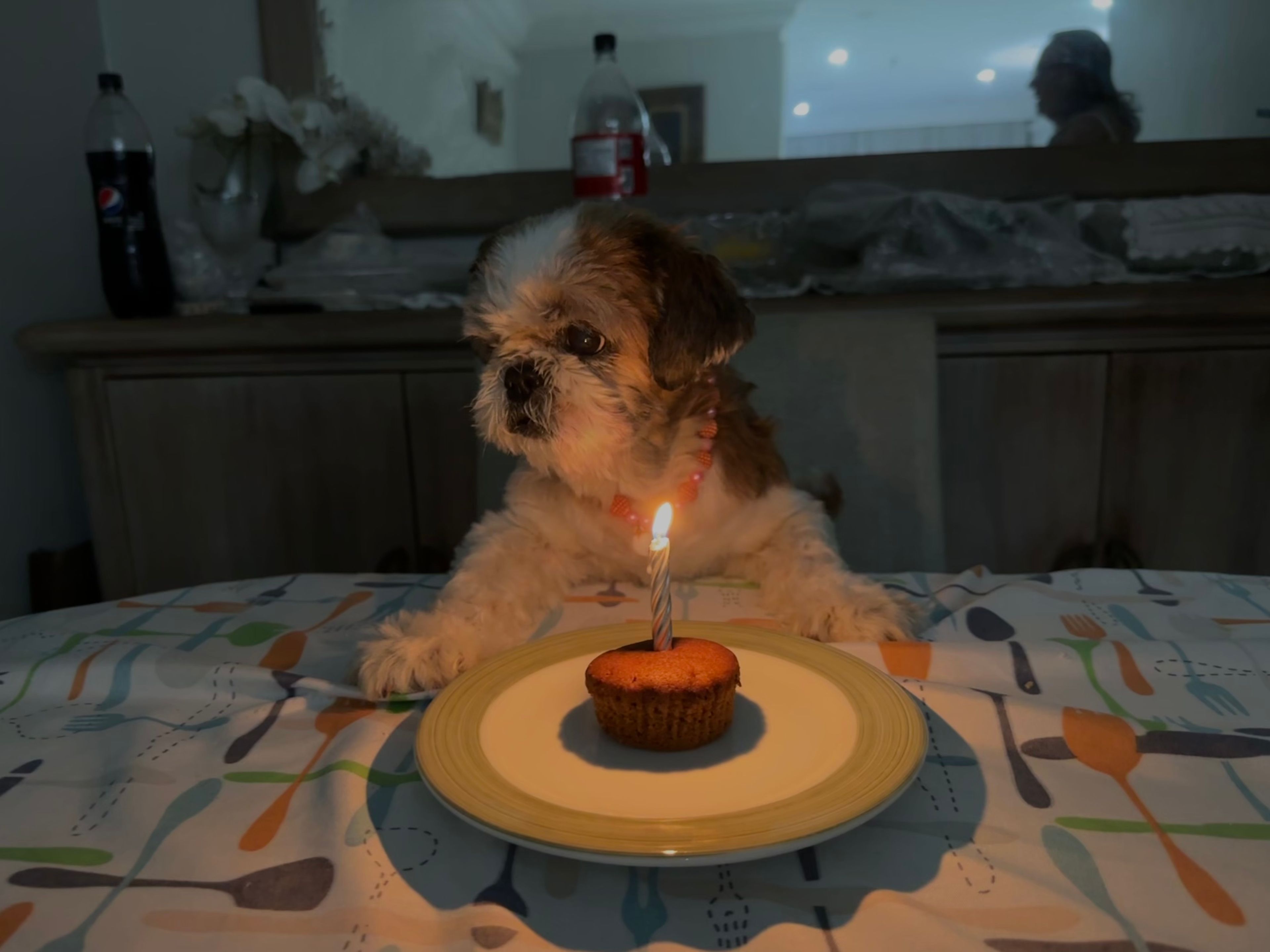 image-7