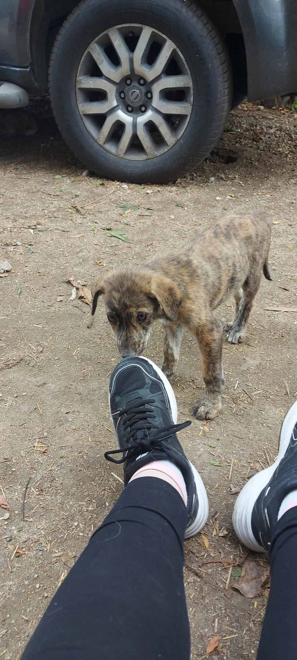 image-7
