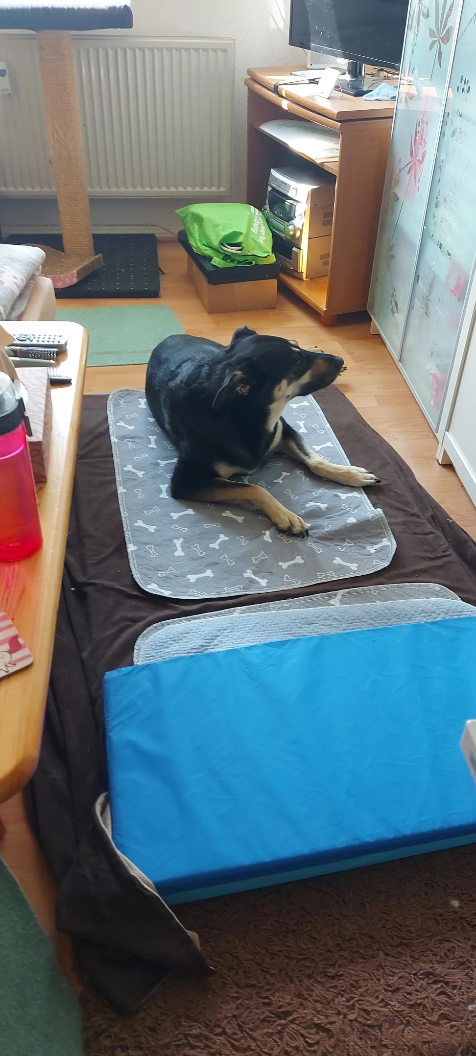 image-12