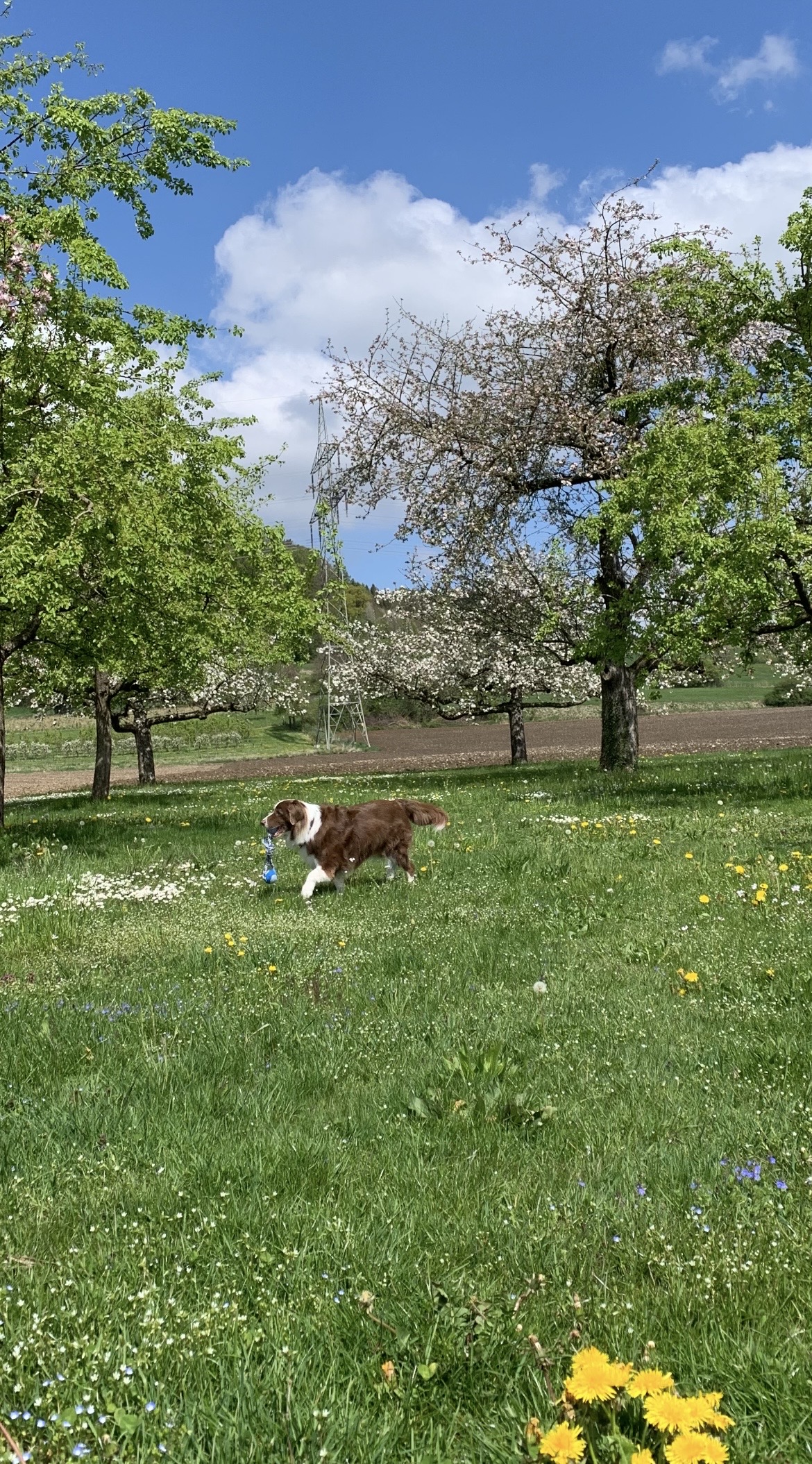 image-9