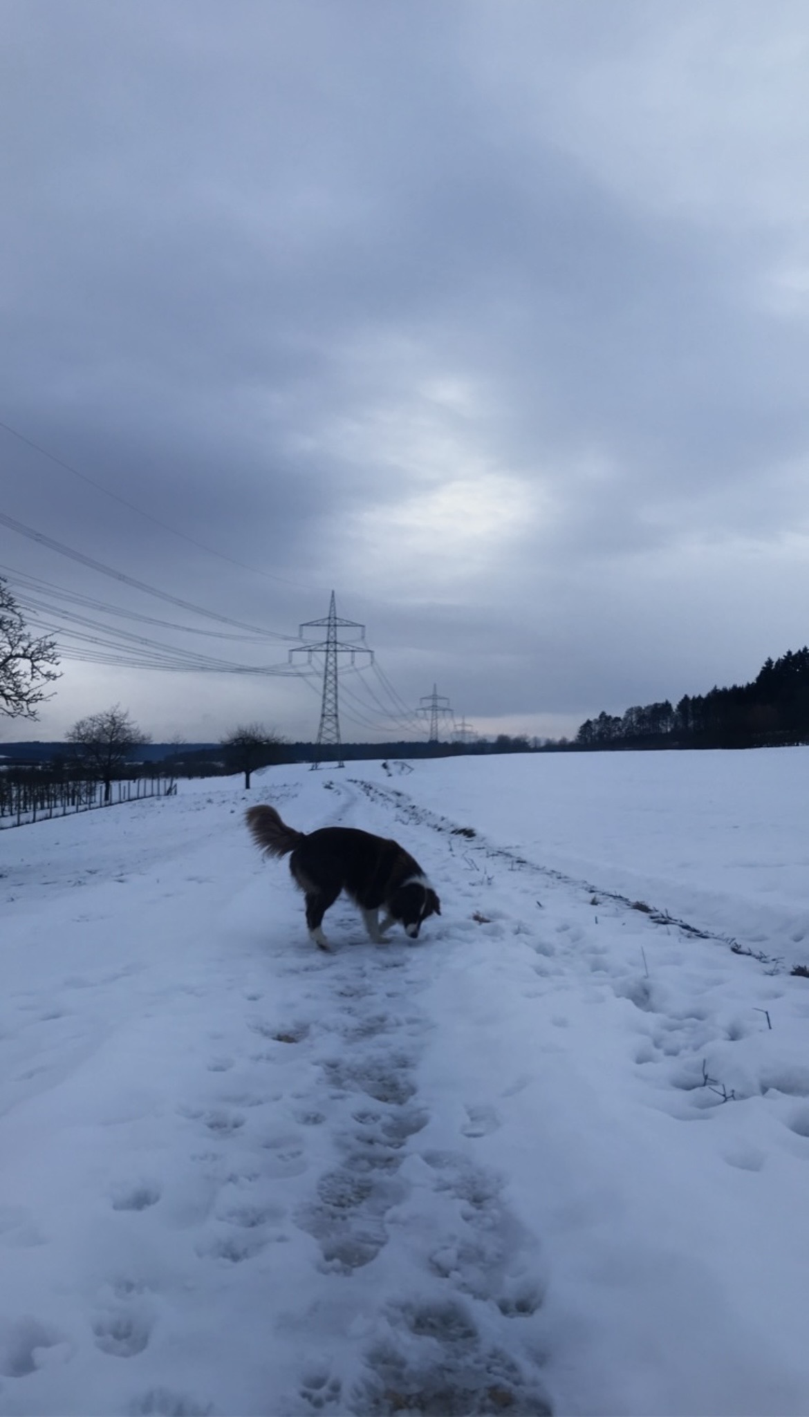 image-6
