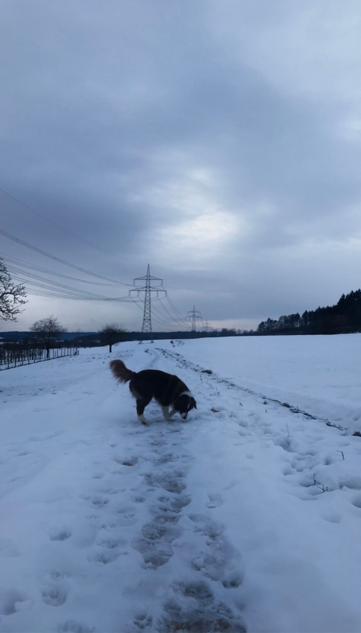 image-6