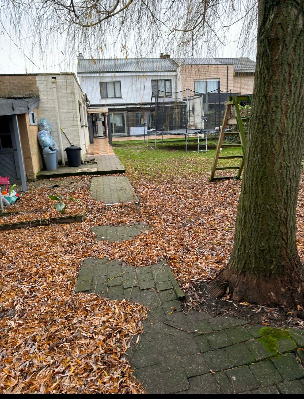 image-18