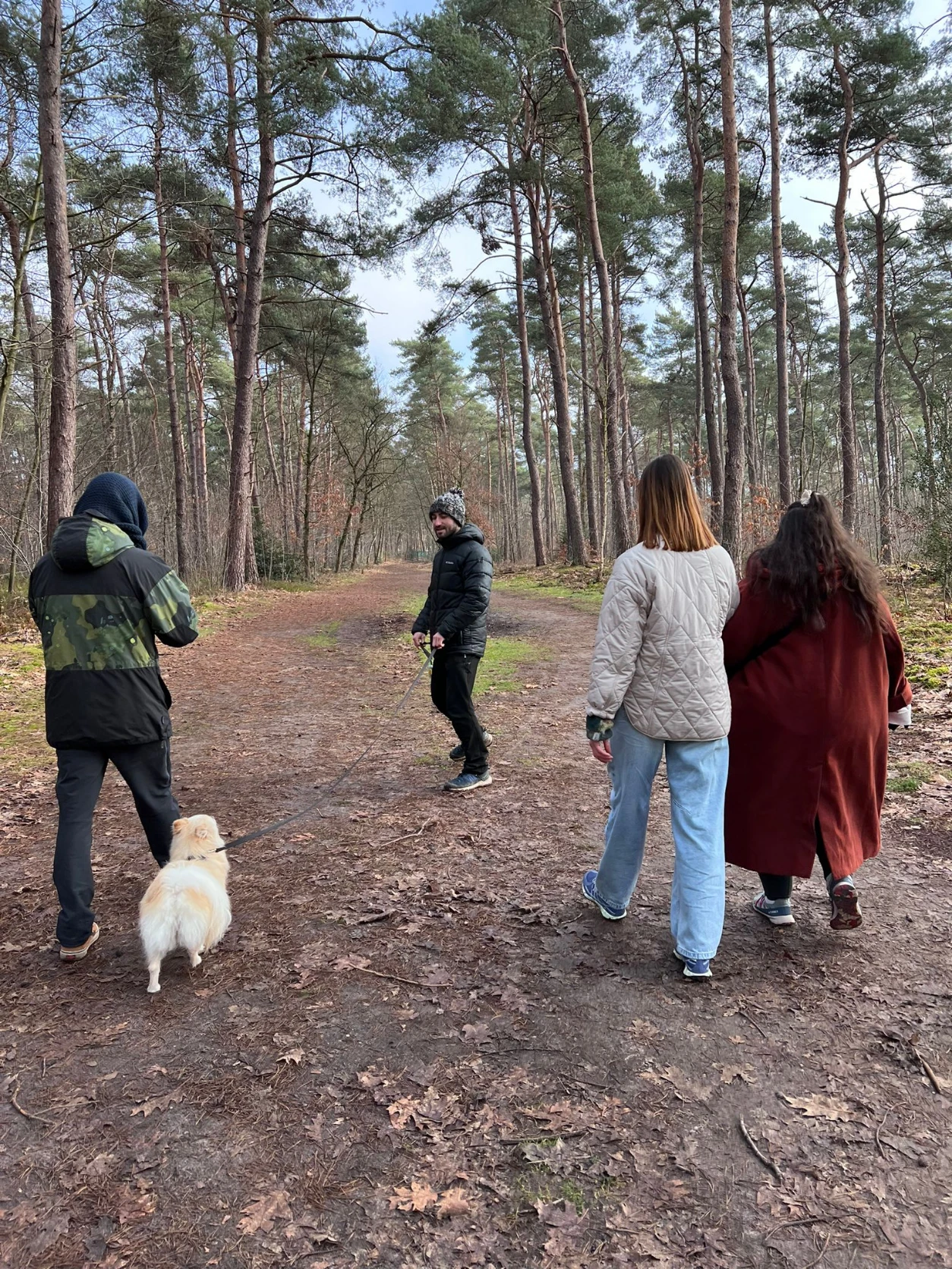 image-9