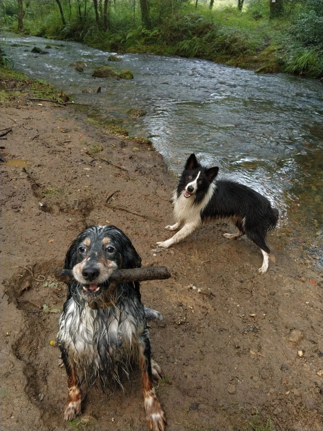 image-16