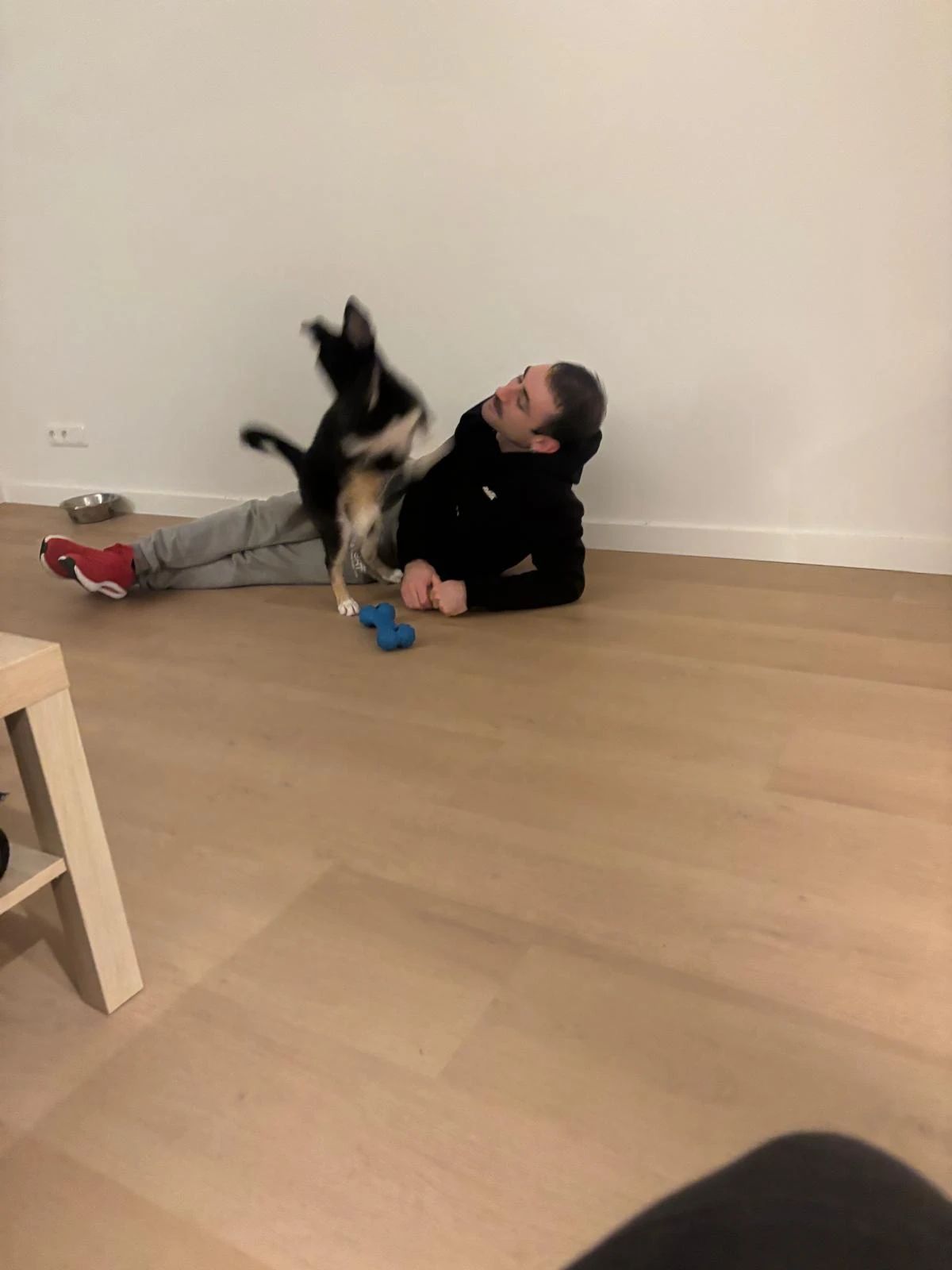 image-15